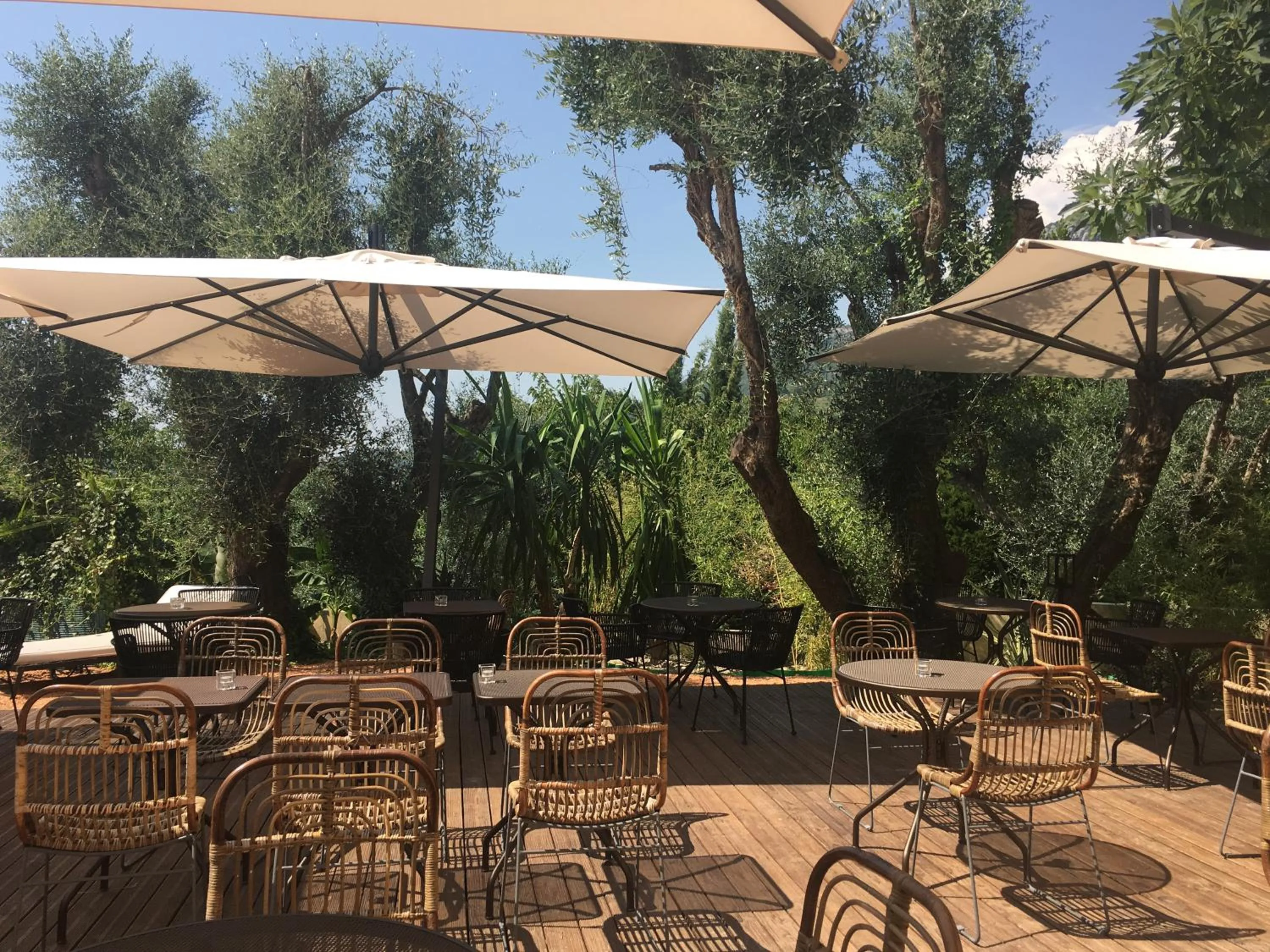 Garden in Avocado Hôtel Restaurant