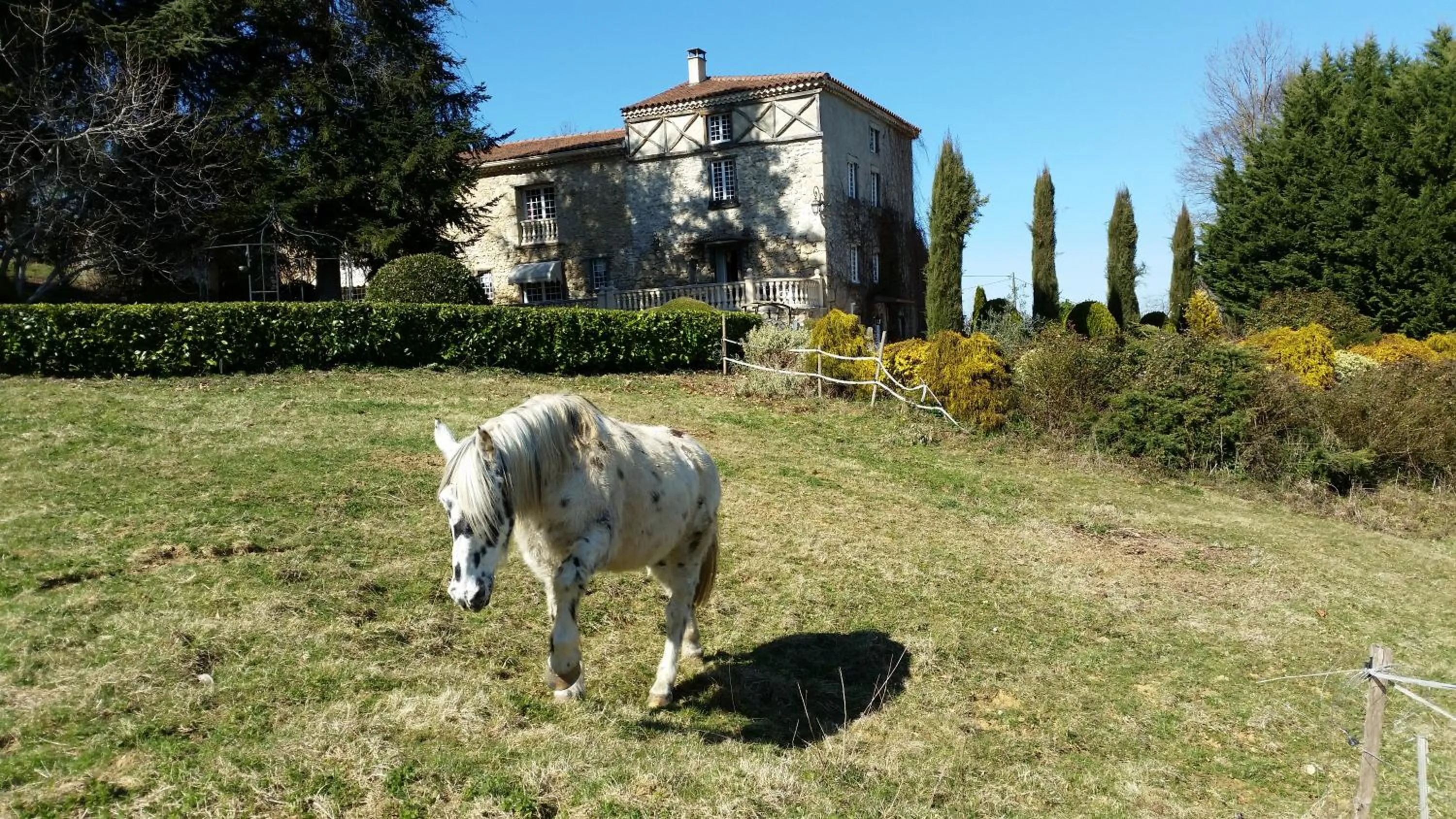 Pets in La Ferme de Jeanne