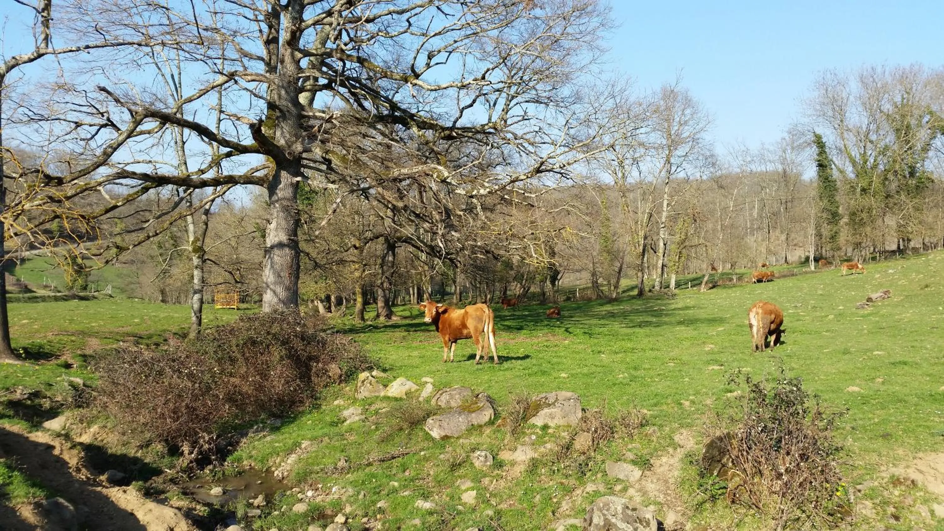 La Ferme de Jeanne
