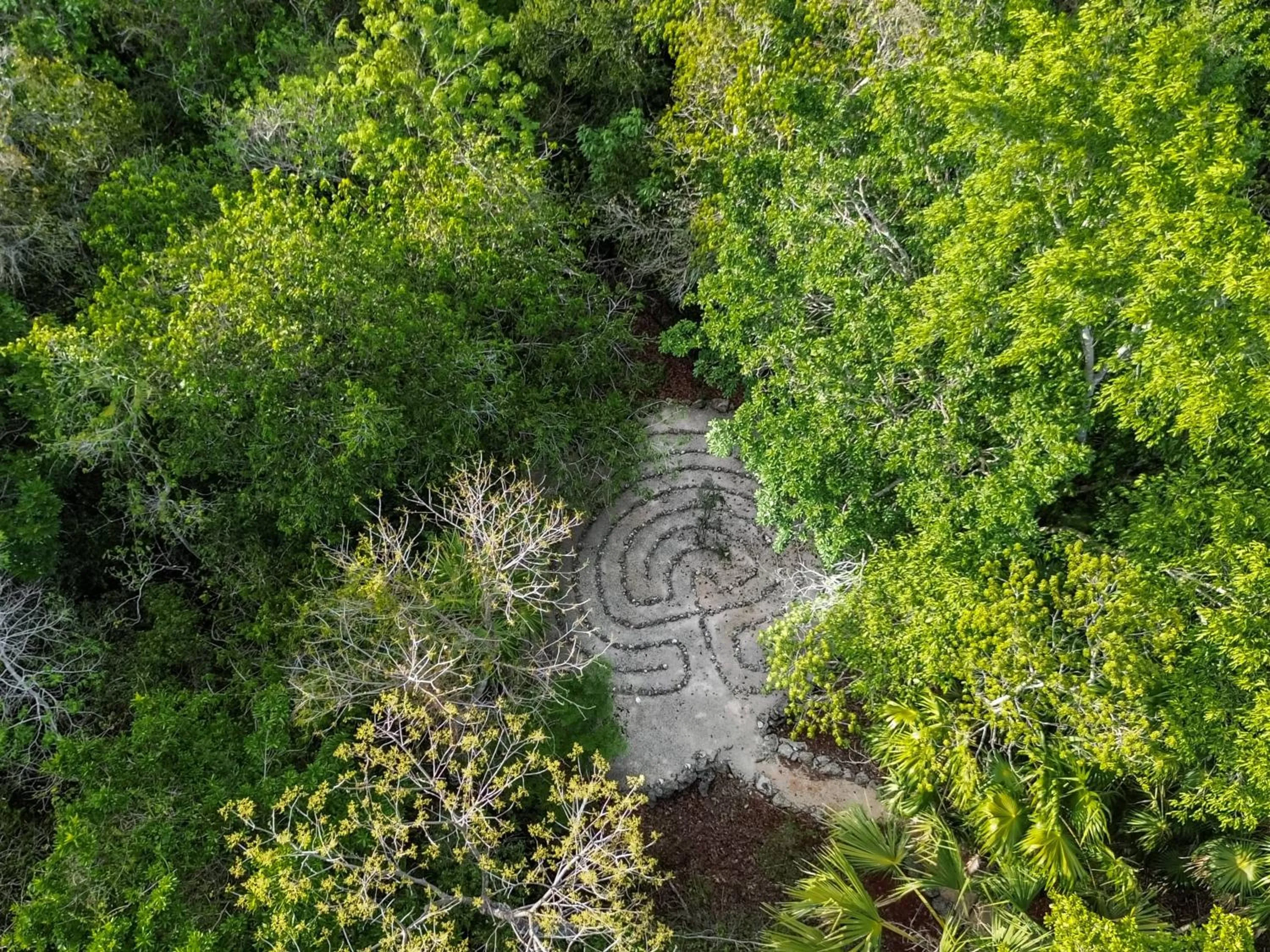 Garden view in Jolie Jungle Eco Hotel