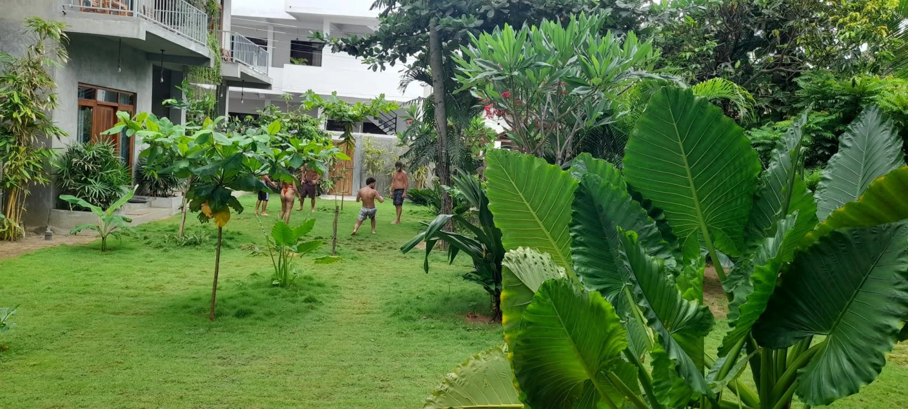 Garden in Surf Gangs Arugambay