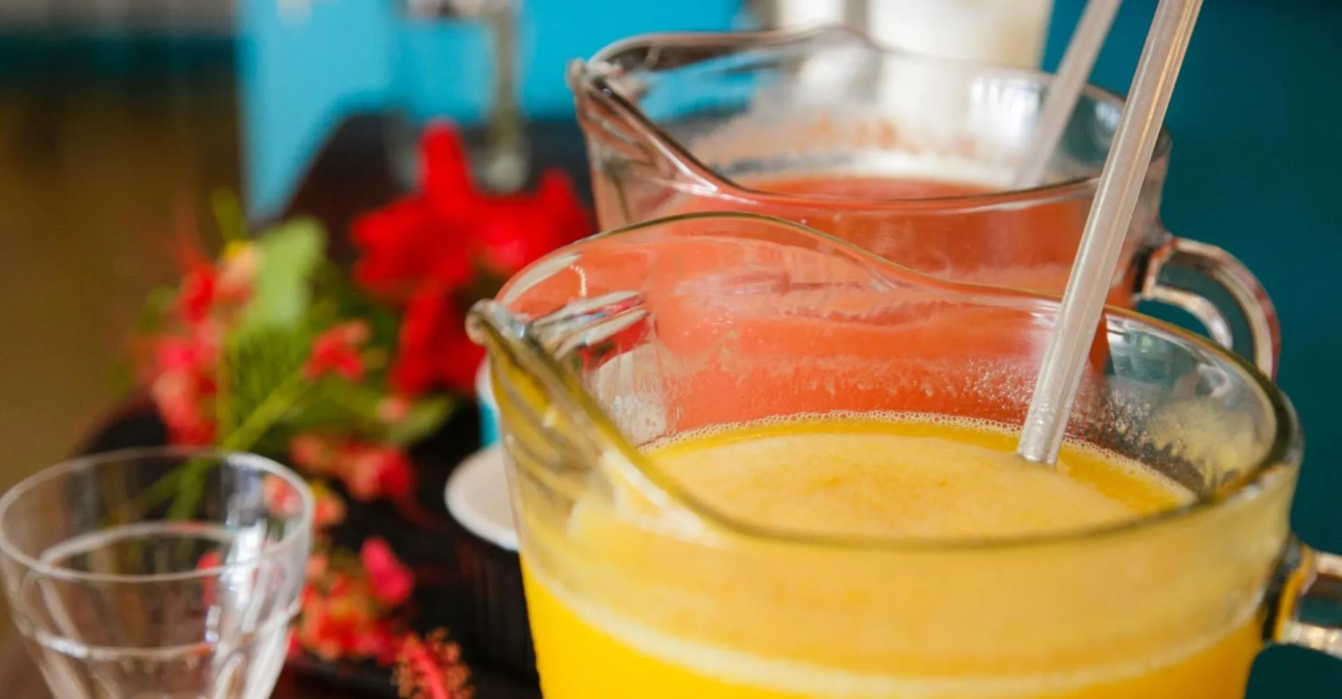 Pousada Raízes do Brasil