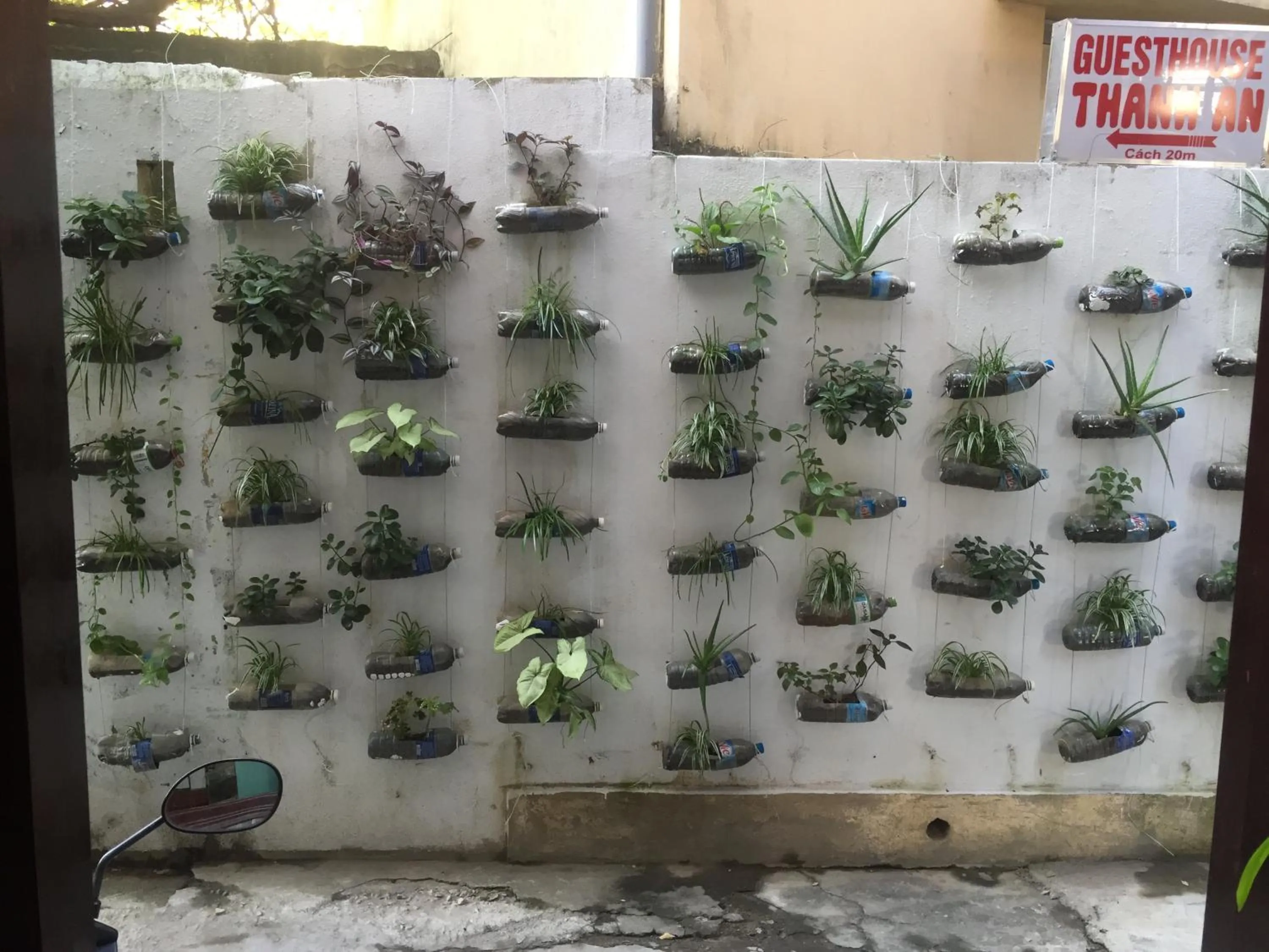 Garden view in Star Binh Duong Hotel