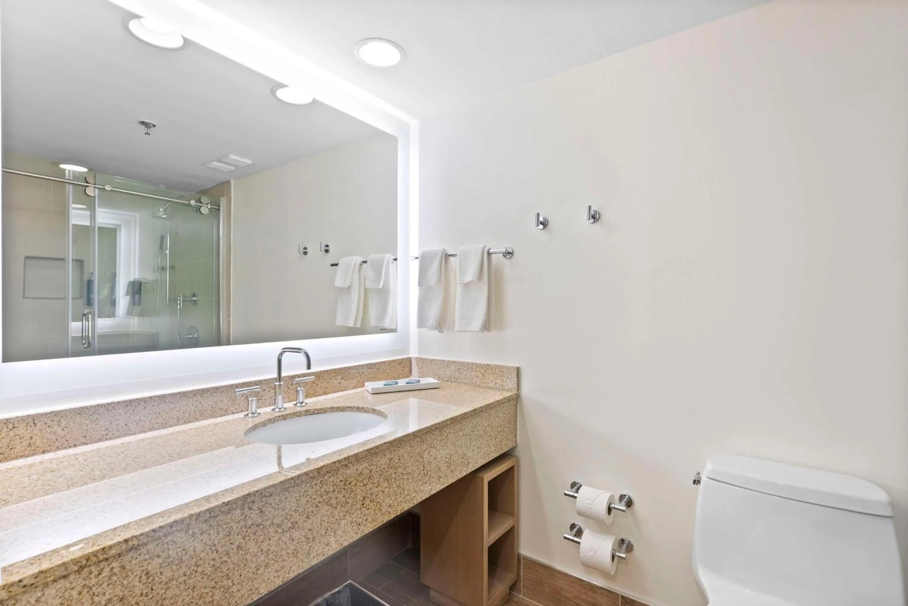 Bathroom in Hilton Sandestin Beach Golf Resort & Spa