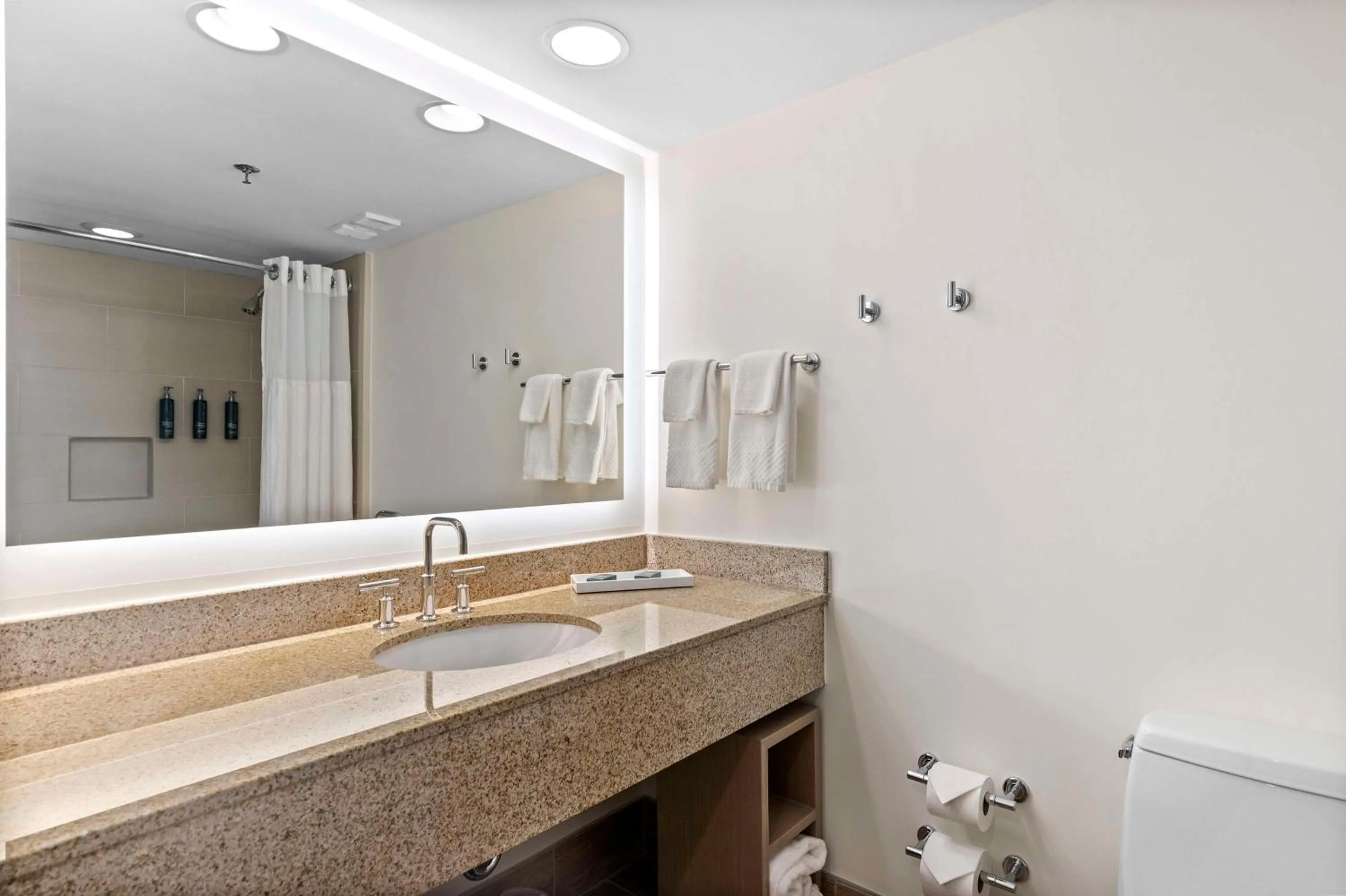 Bathroom in Hilton Sandestin Beach Golf Resort & Spa