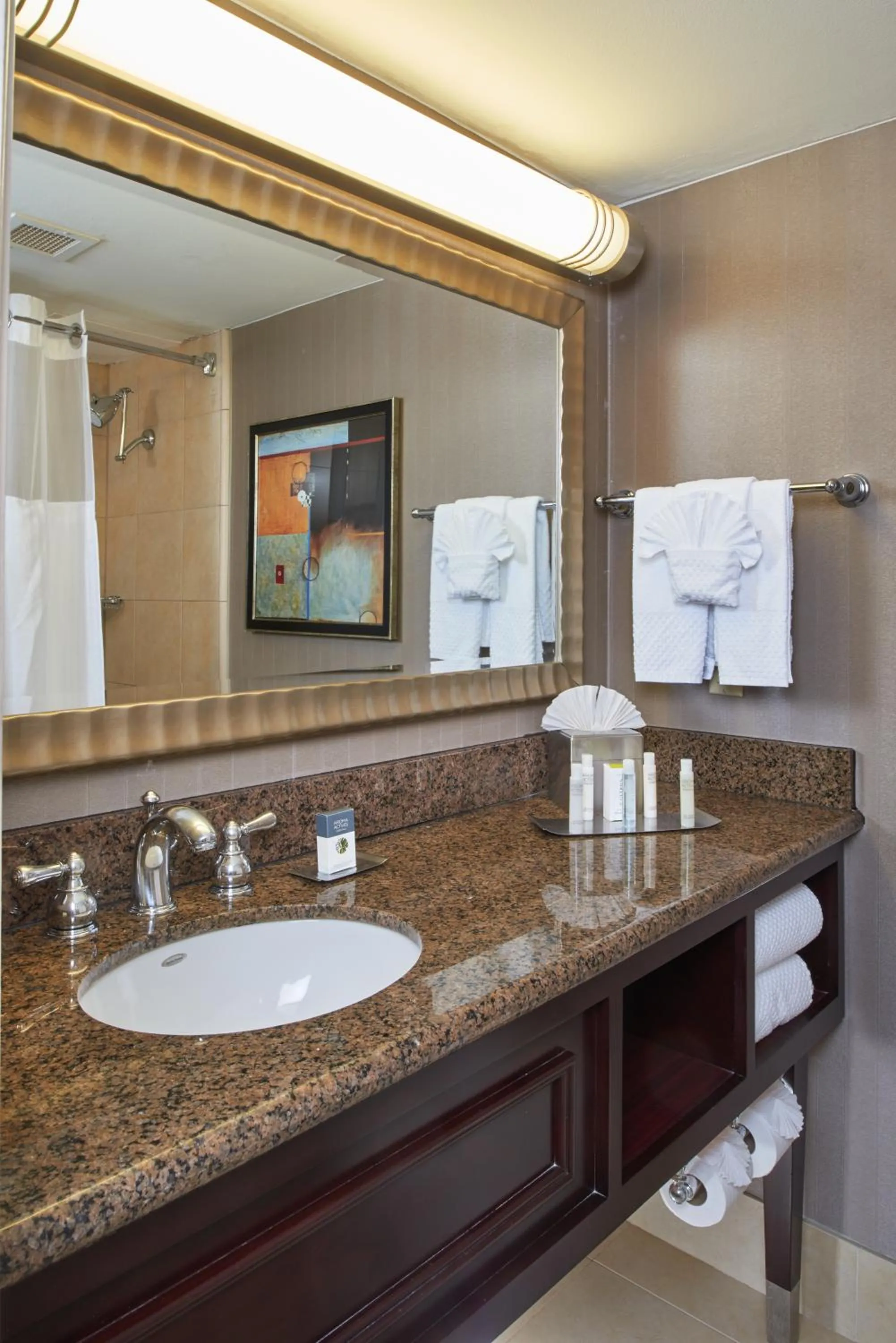 Bathroom in DoubleTree by Hilton Dallas Market Center