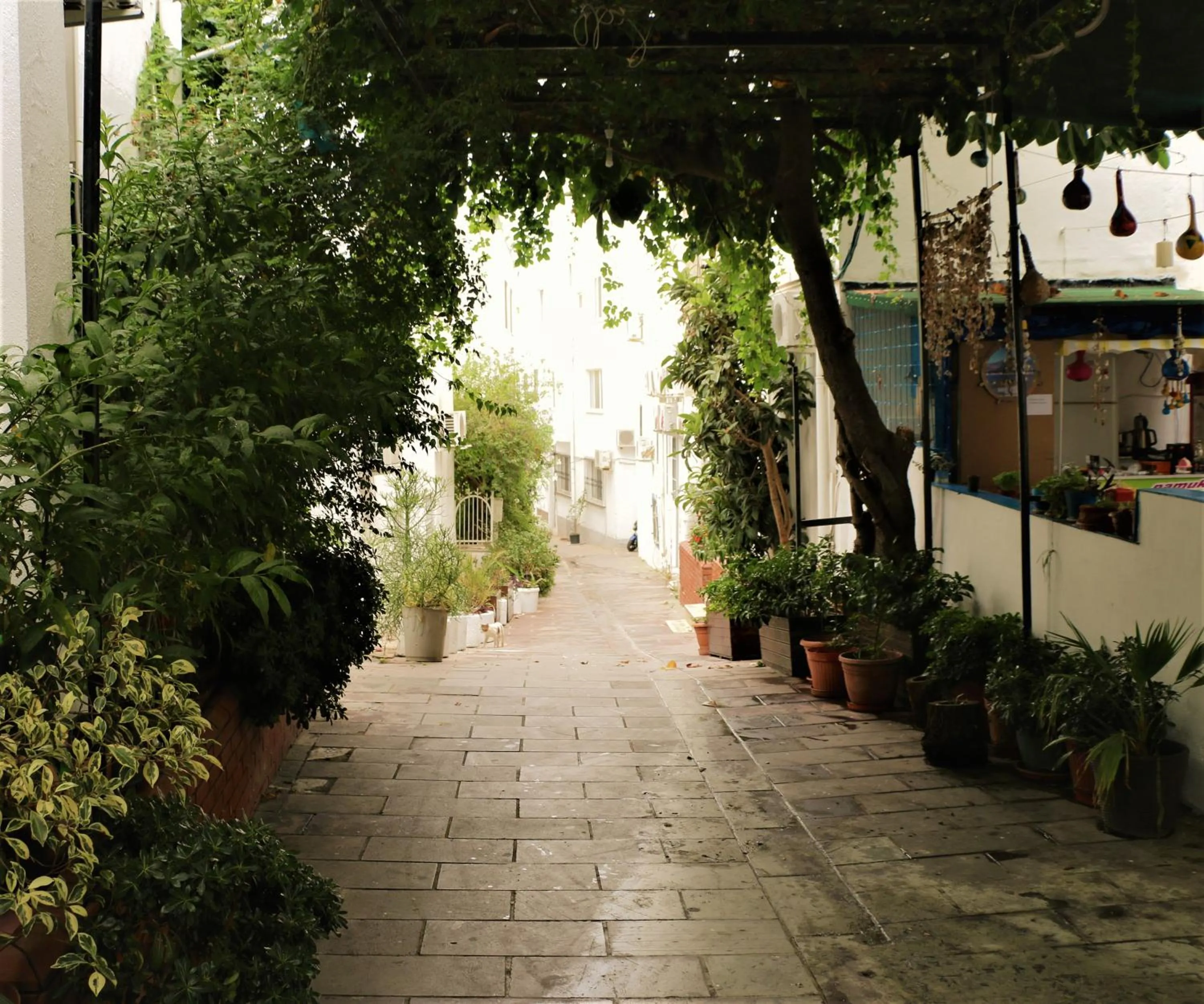 Property building in Durak Hotel