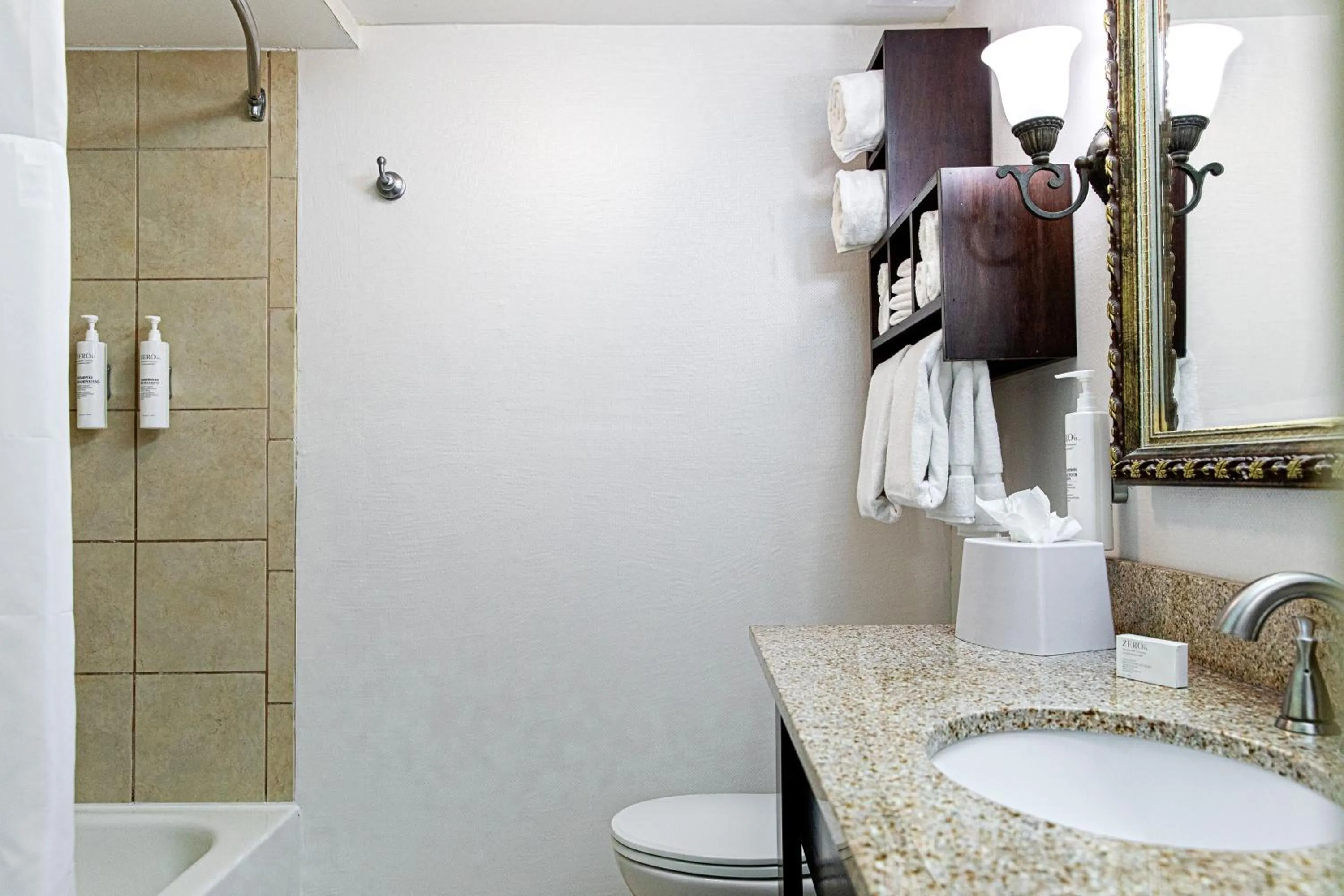 Bathroom in Hampton Inn Charleston-Historic District