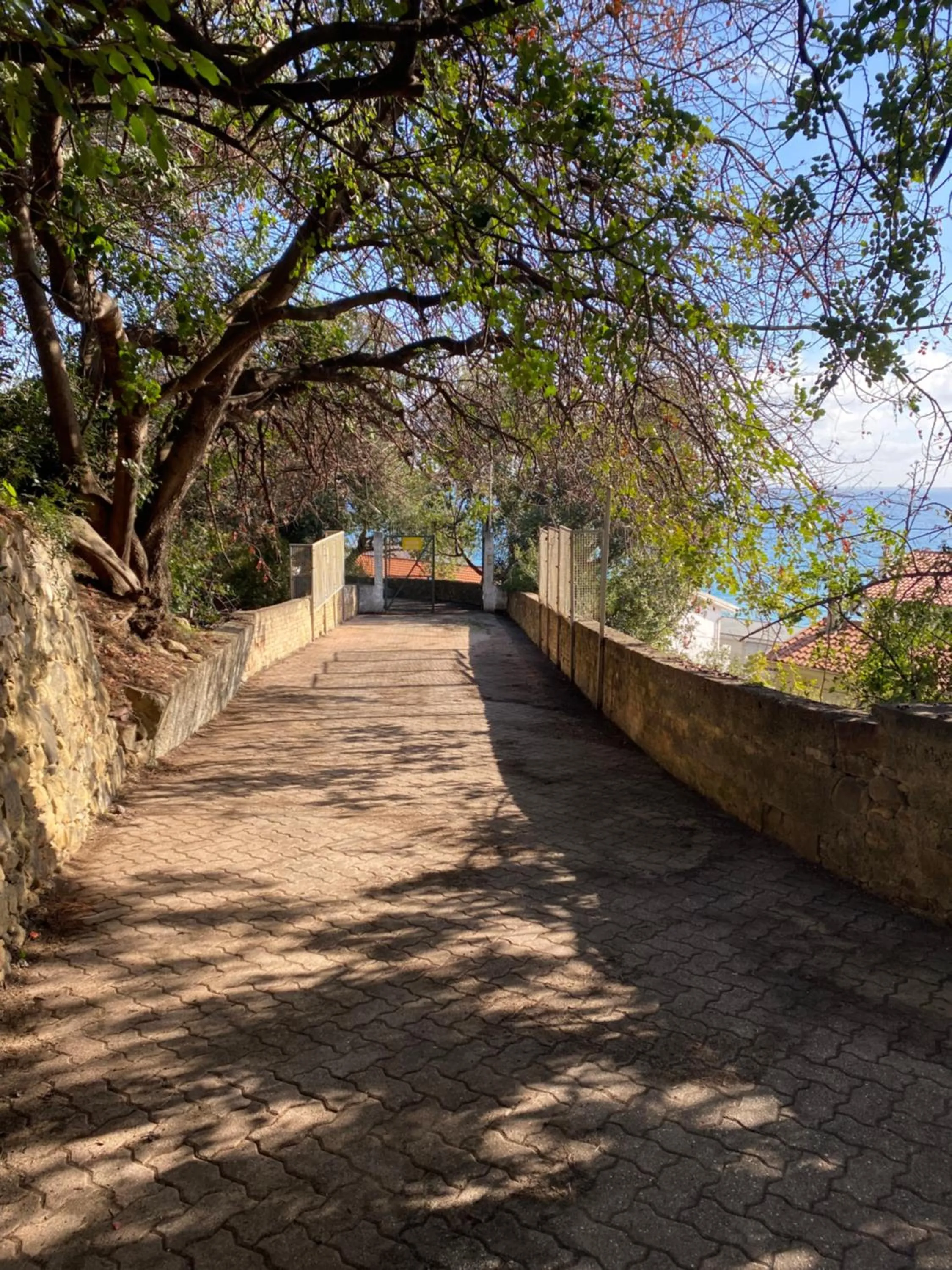 Natural landscape in Blue Beach