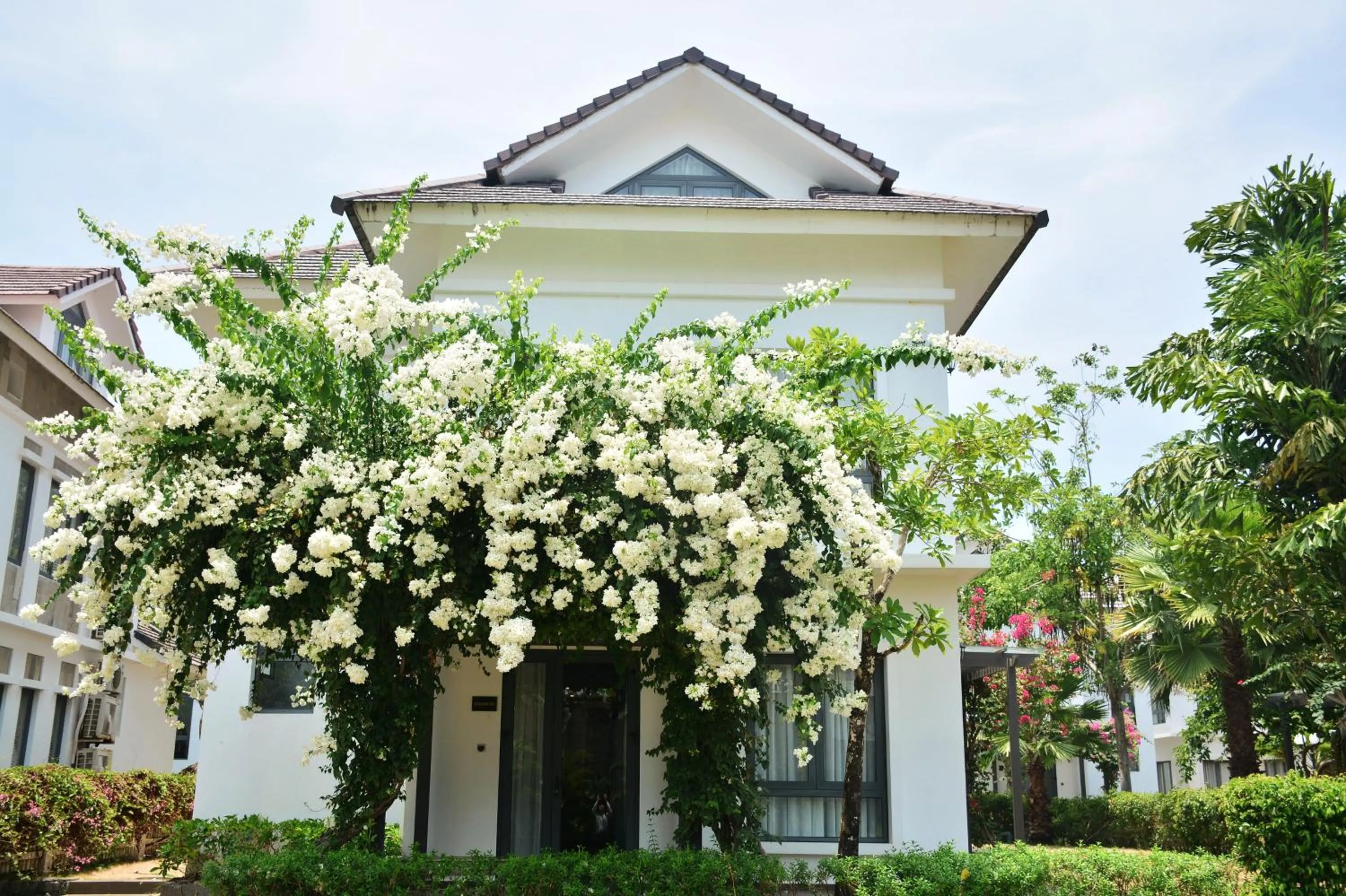 Garden in Sunset Sanato Resort & Villas