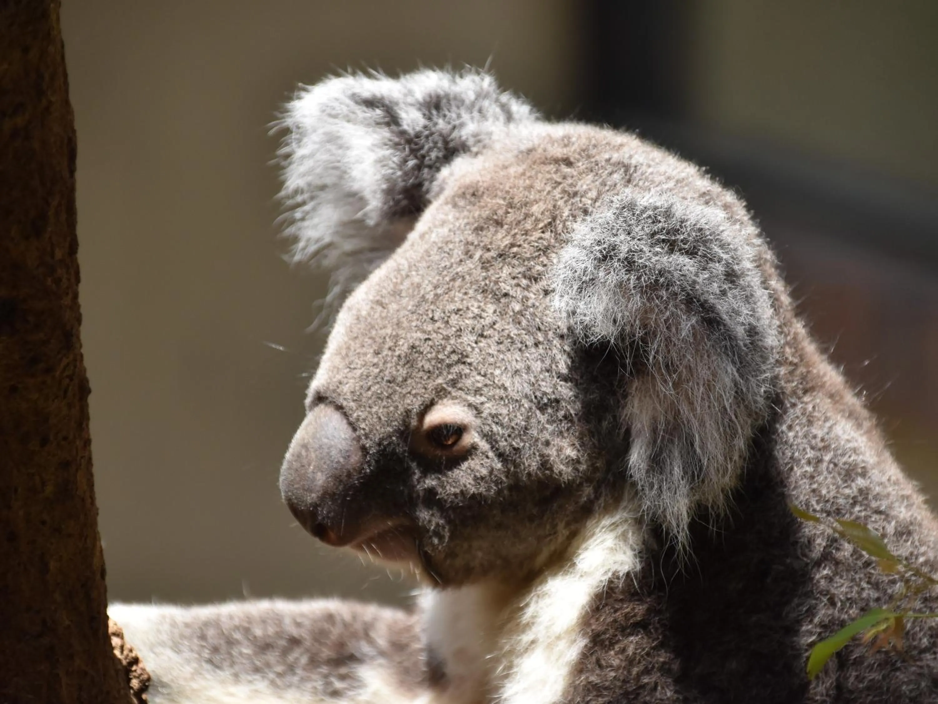 Nearby landmark in KOKO HOTEL Kobe Shinnagata - formerly Hotel Wing International Kobe - Shinnagata Ekimae