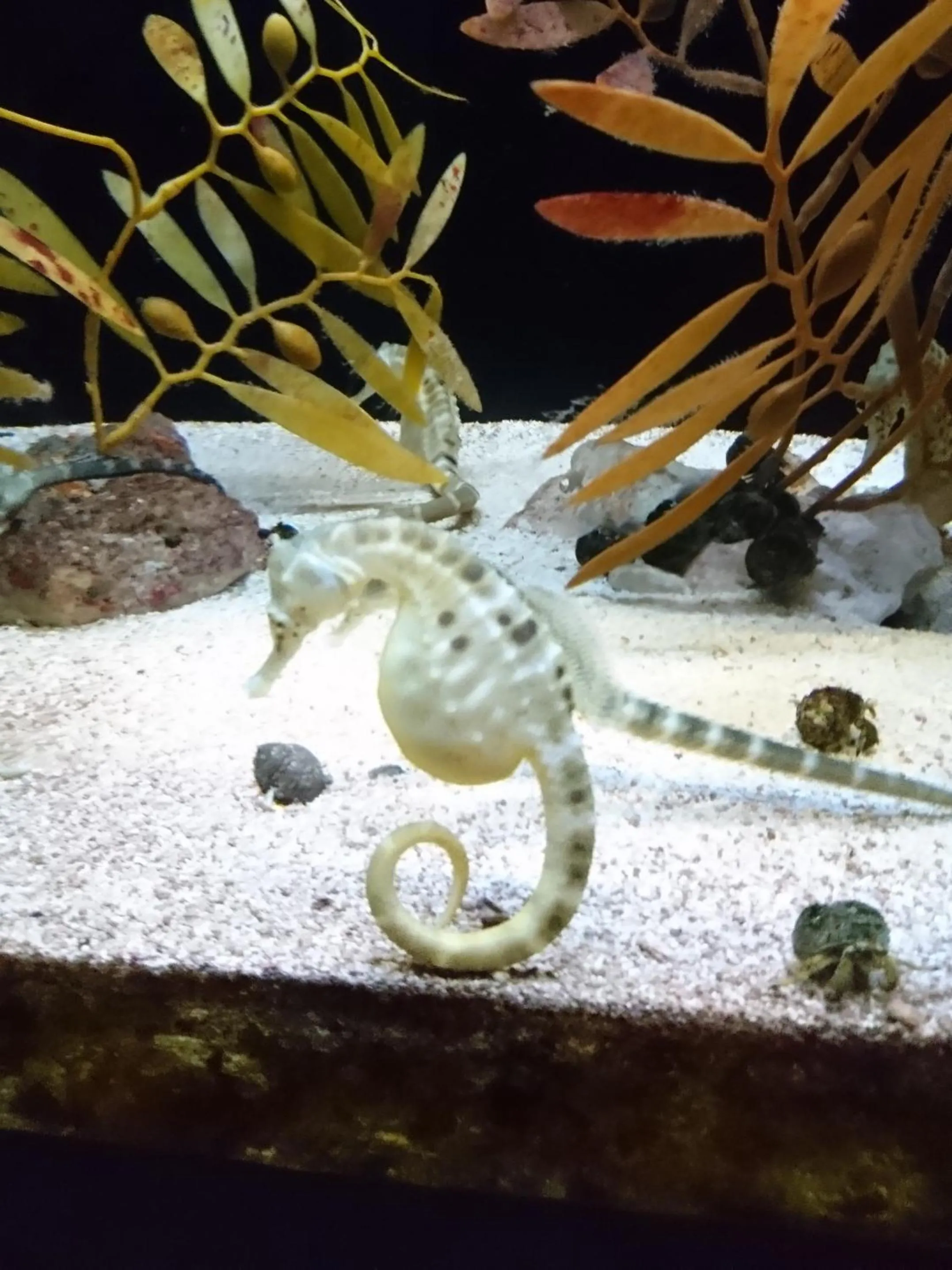 Nearby landmark in KOKO HOTEL Kobe Shinnagata - formerly Hotel Wing International Kobe - Shinnagata Ekimae