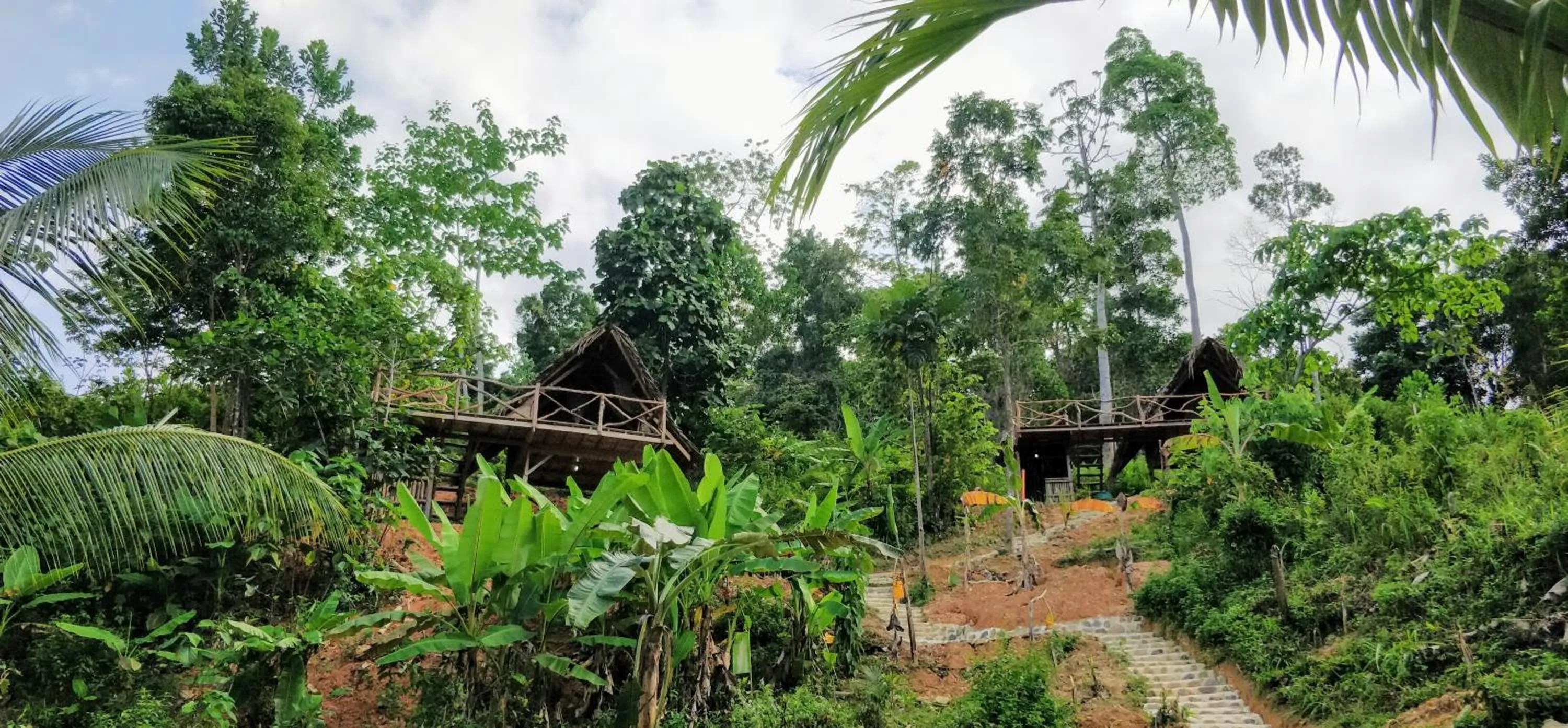 Jungle bar Resto & Cottages