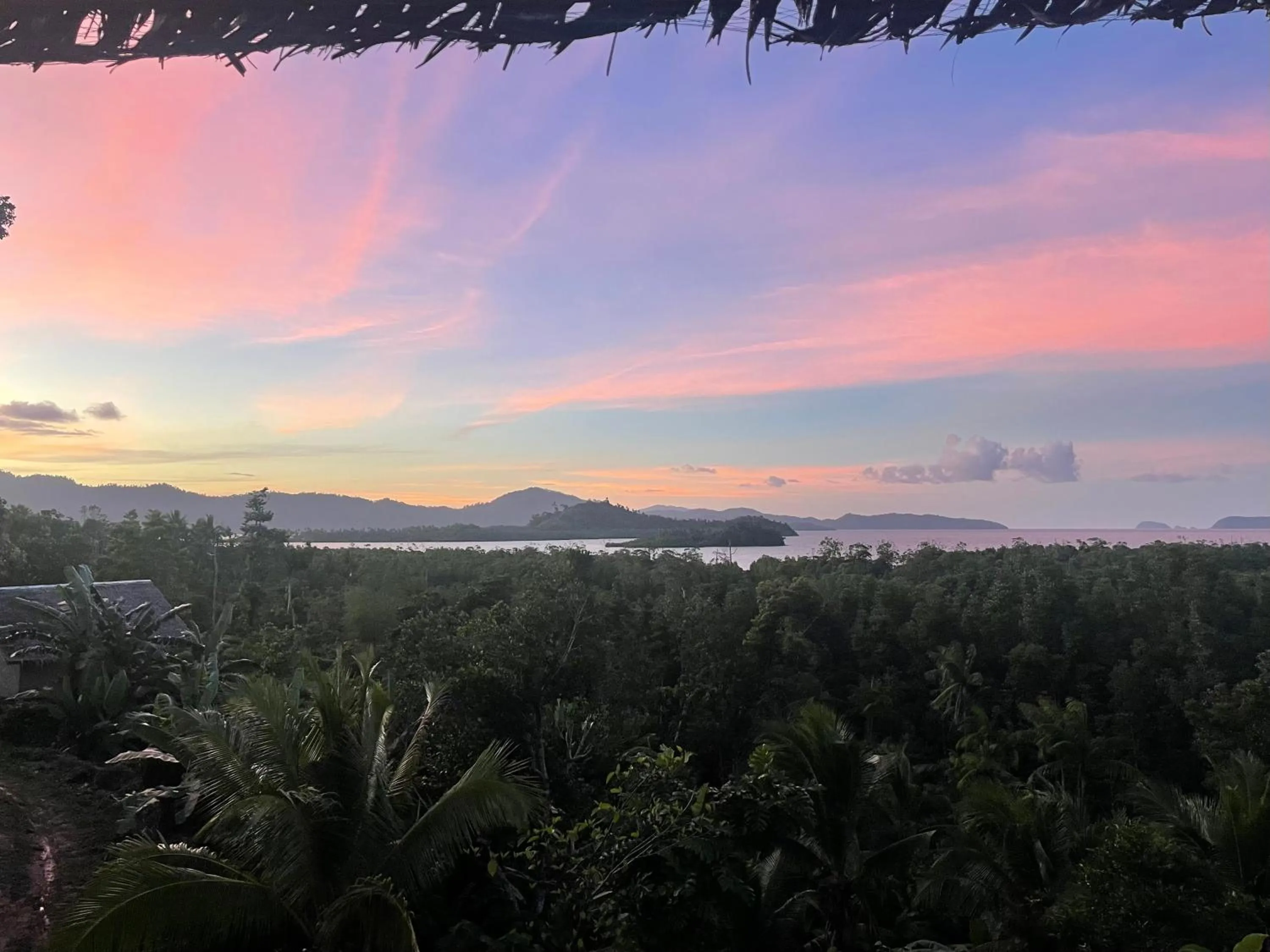 Jungle bar Resto & Cottages