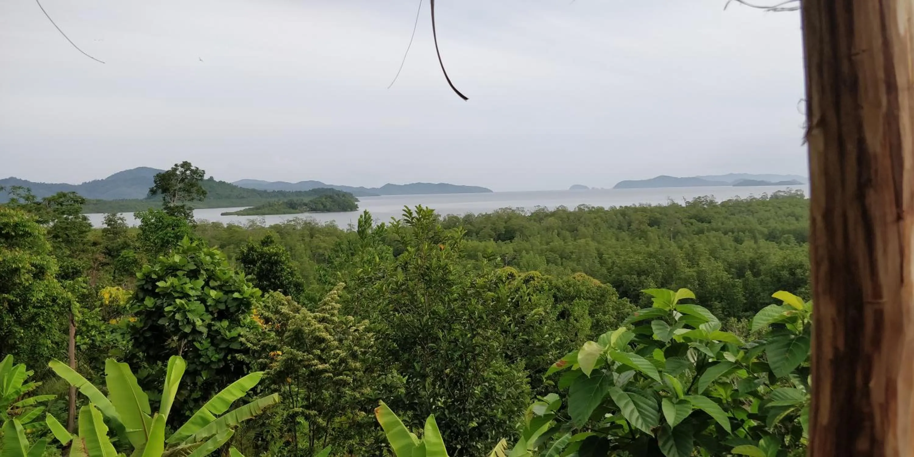 Jungle bar Resto & Cottages