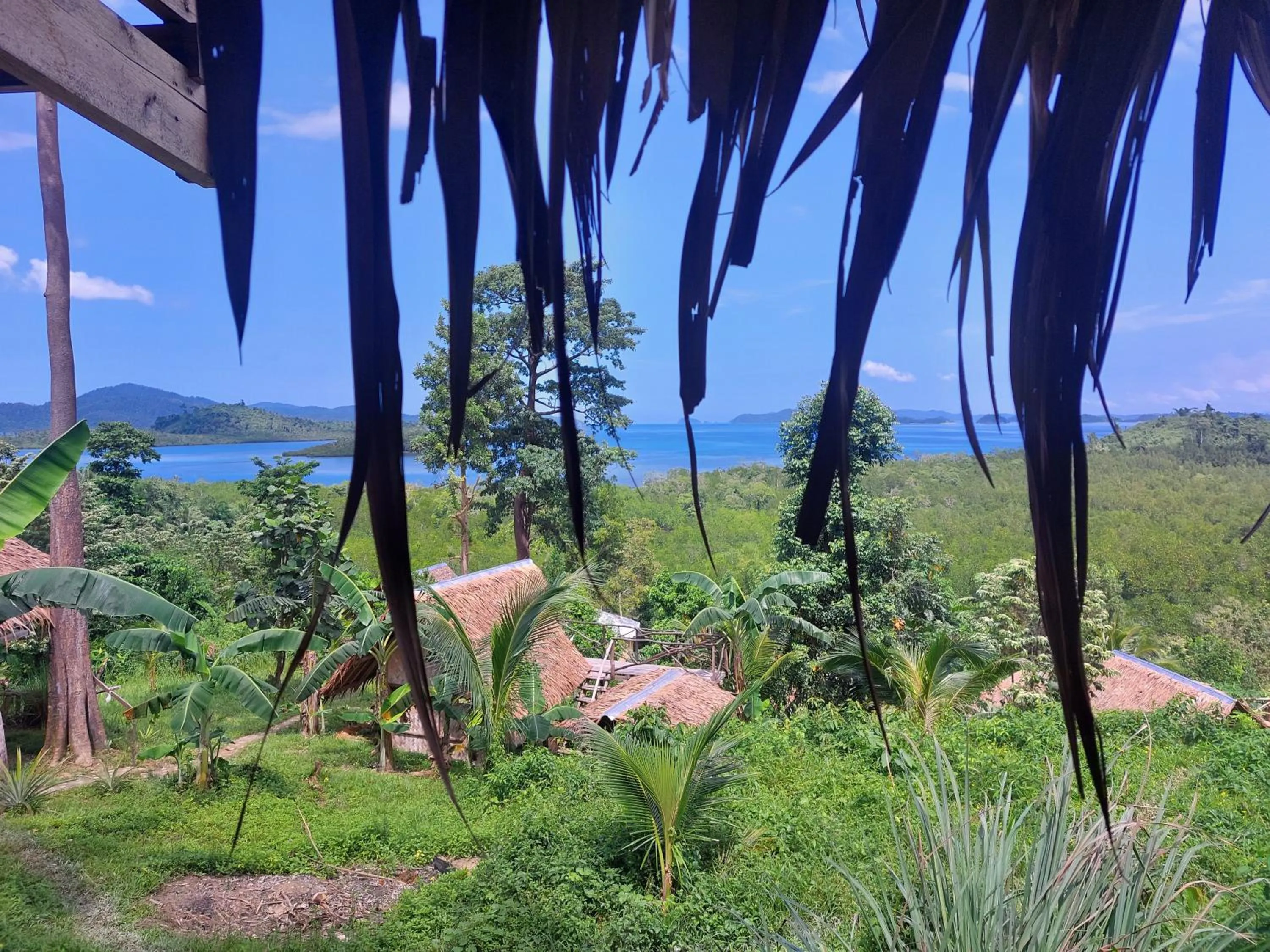 Jungle bar Resto & Cottages