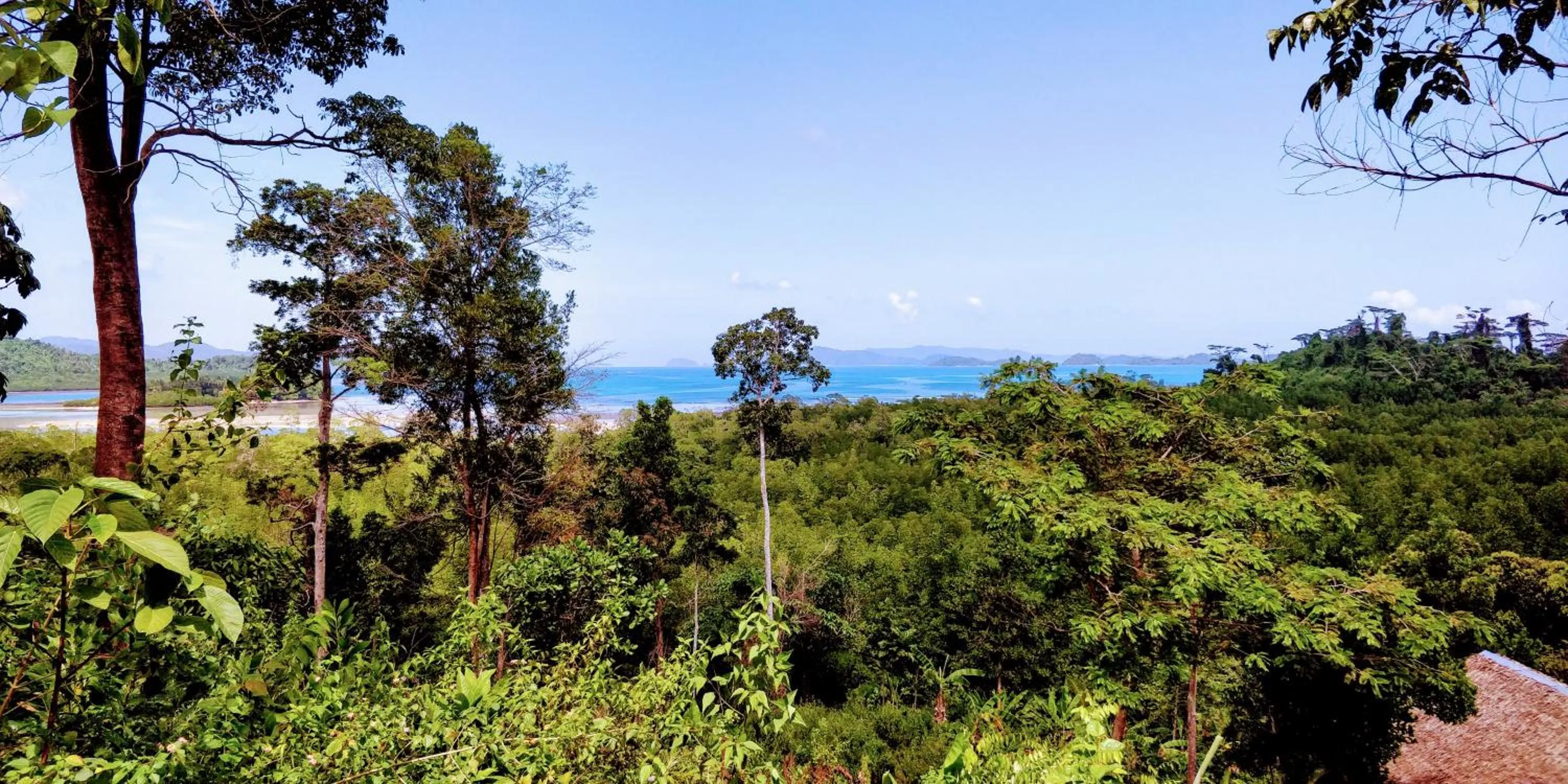 Jungle bar Resto & Cottages