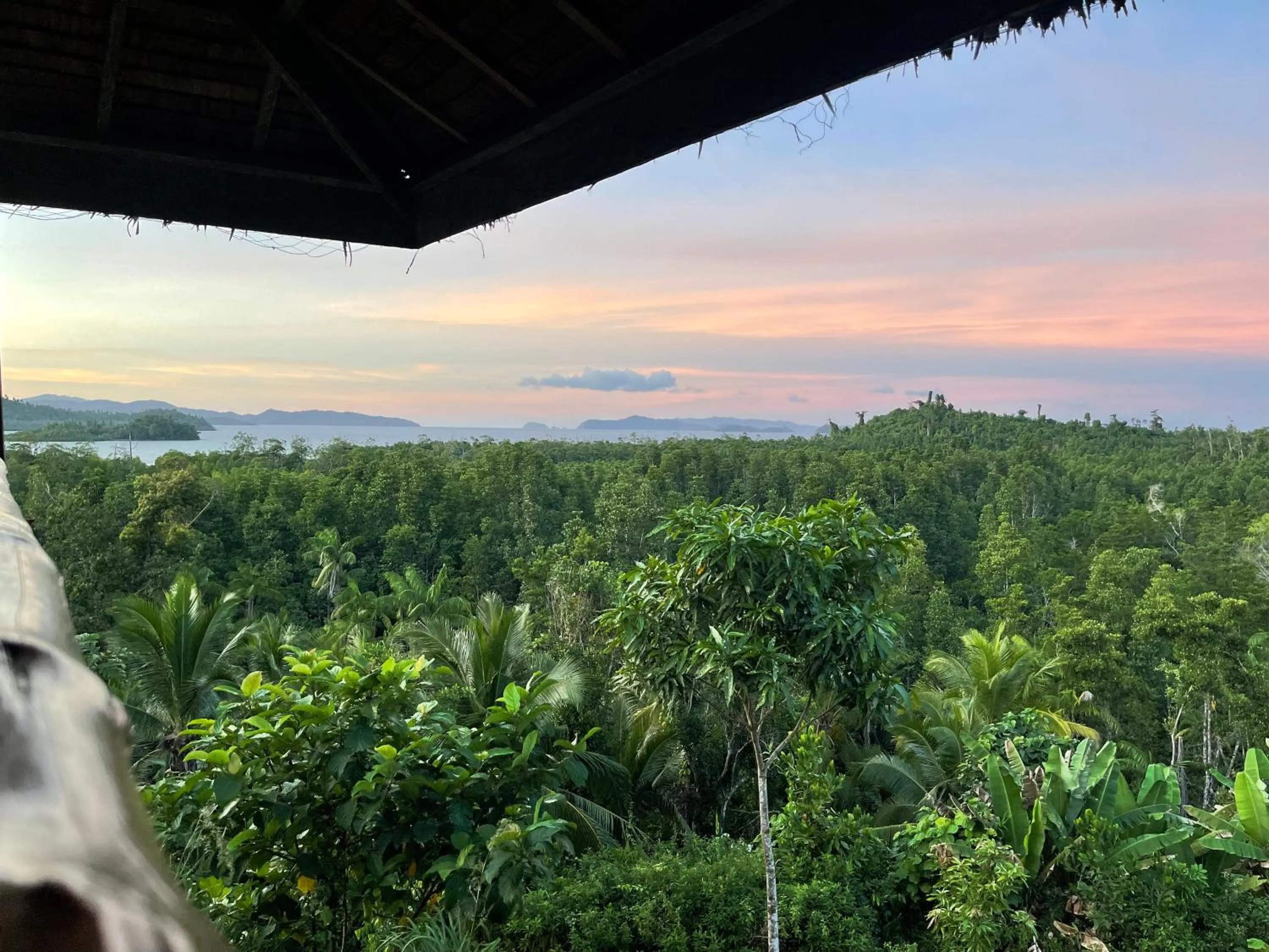 Jungle bar Resto & Cottages