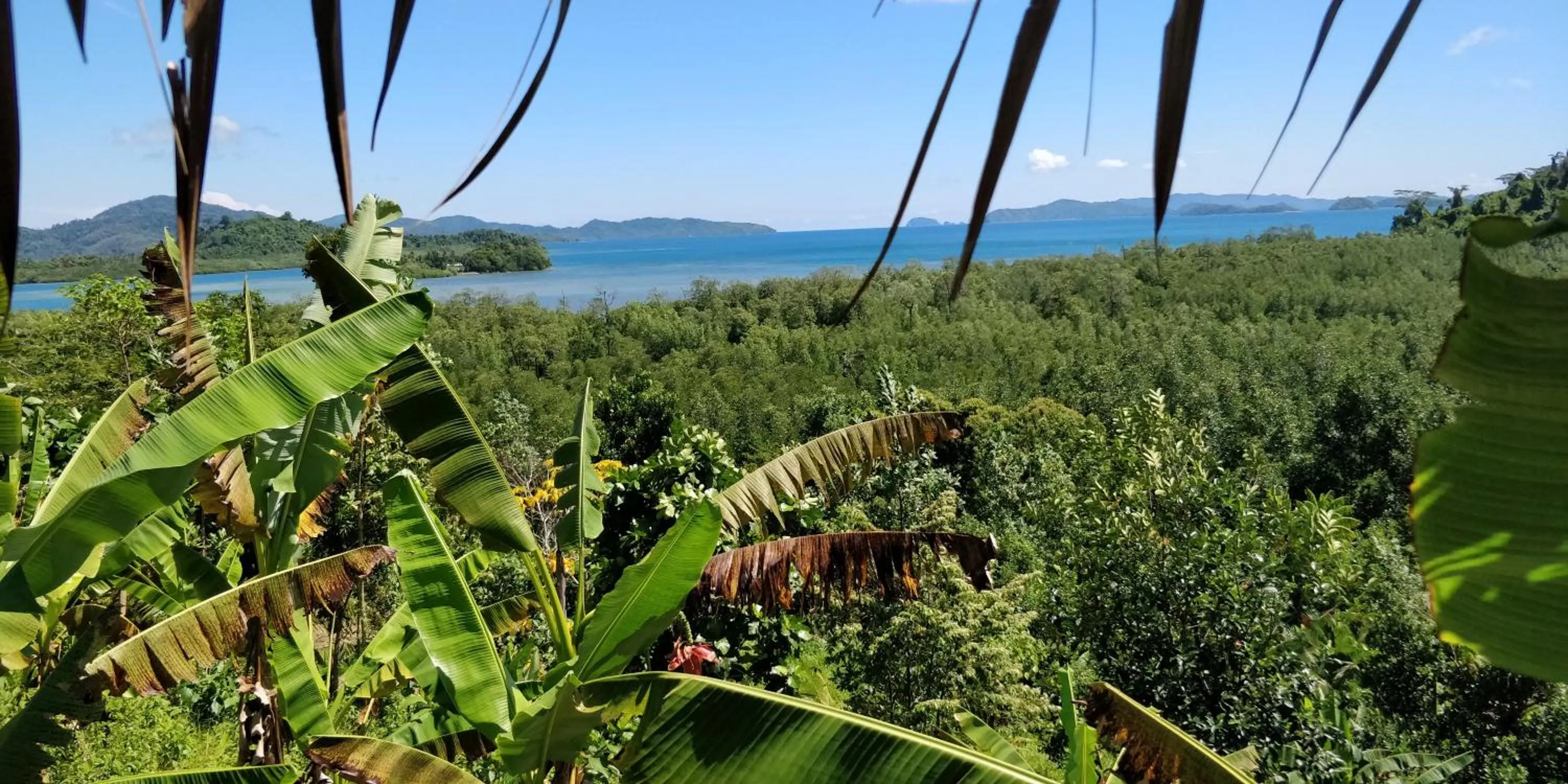 Restaurant/places to eat in Jungle bar Resto & Cottages