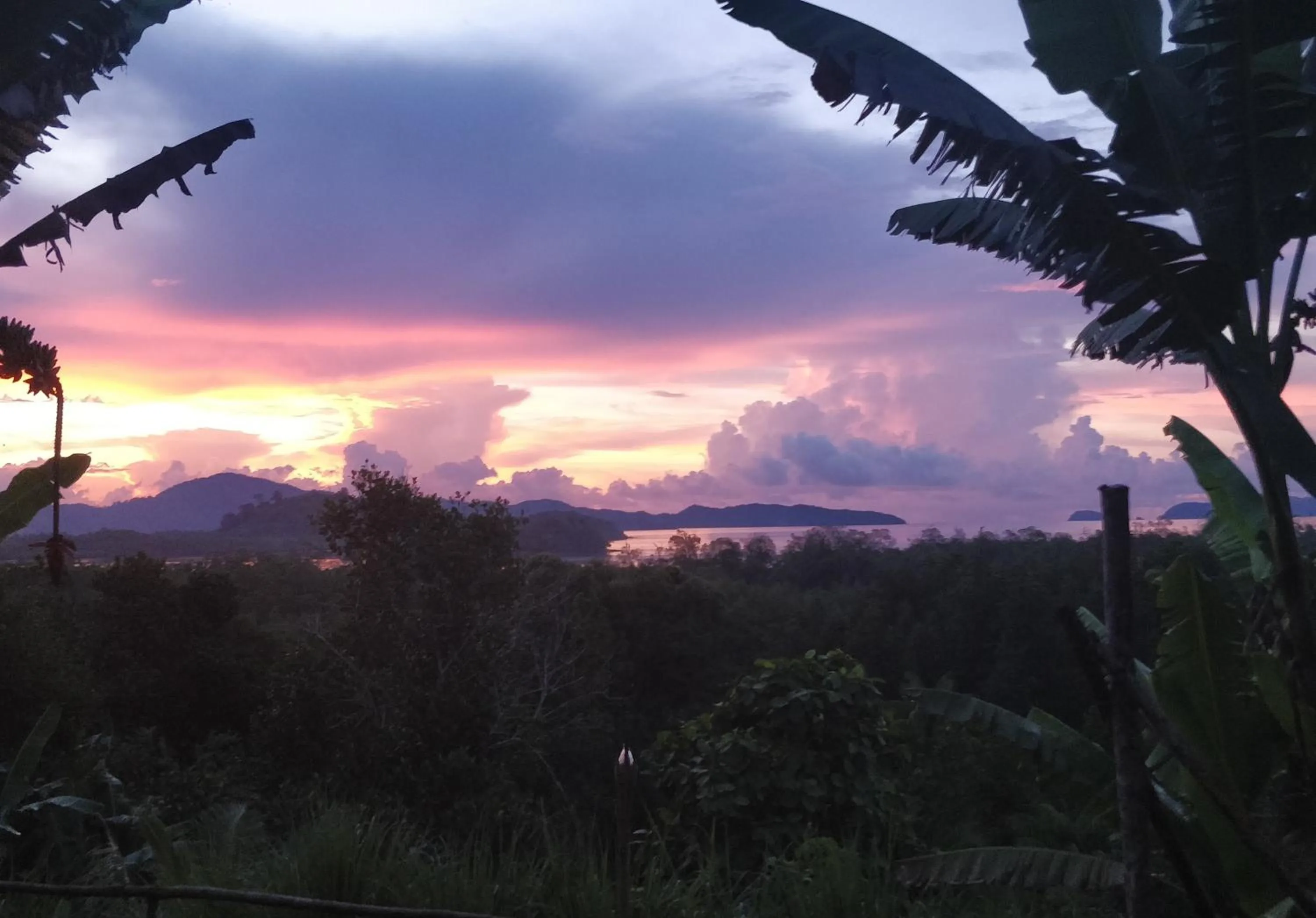 Restaurant/places to eat in Jungle bar Resto & Cottages