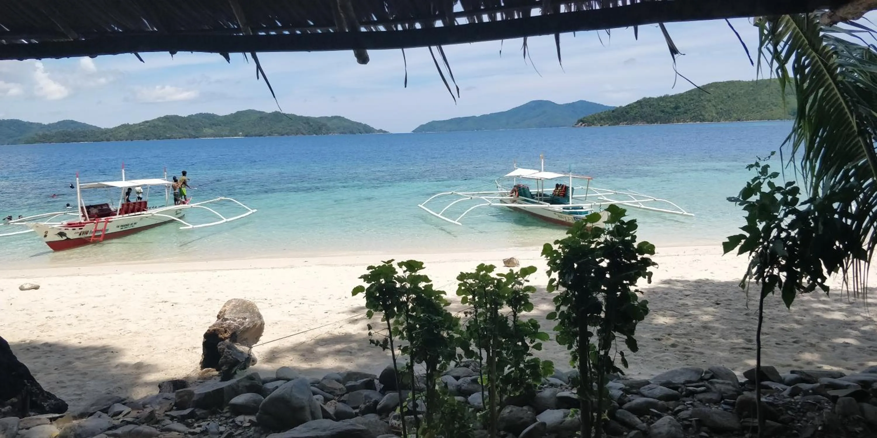 Jungle bar Resto & Cottages