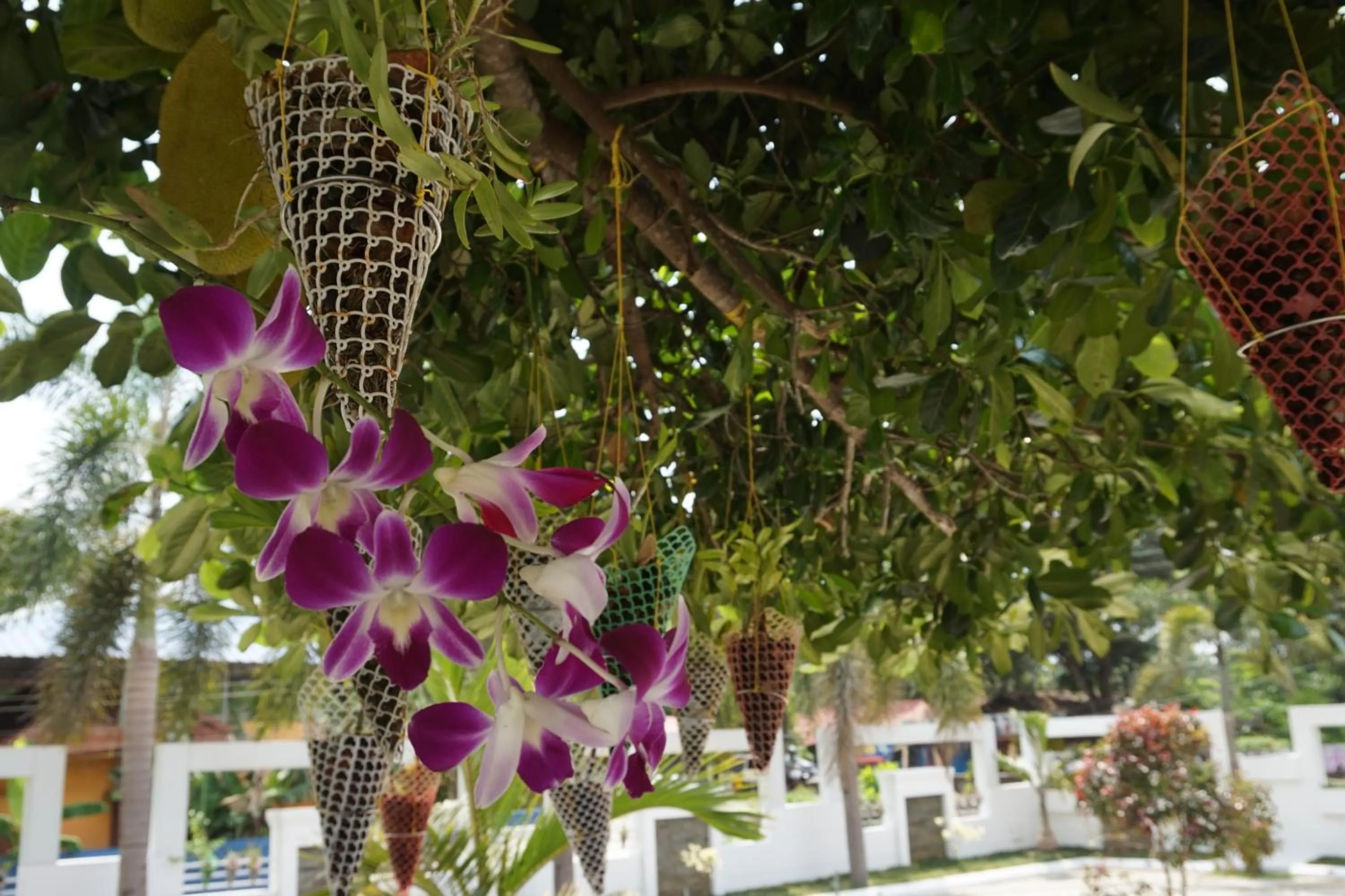 Facade/entrance in Hotel White Gate Residency -near to Vaikom Sri Mahadeva Temple