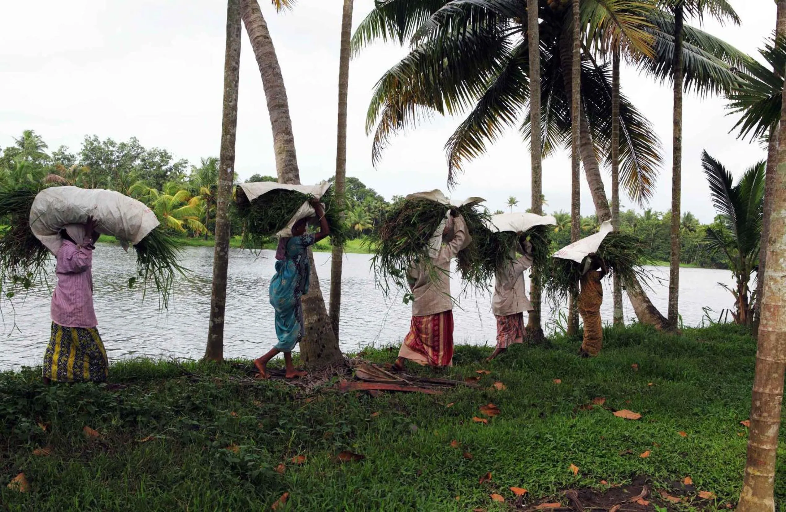 People in Hotel White Gate Residency -near to Vaikom Sri Mahadeva Temple