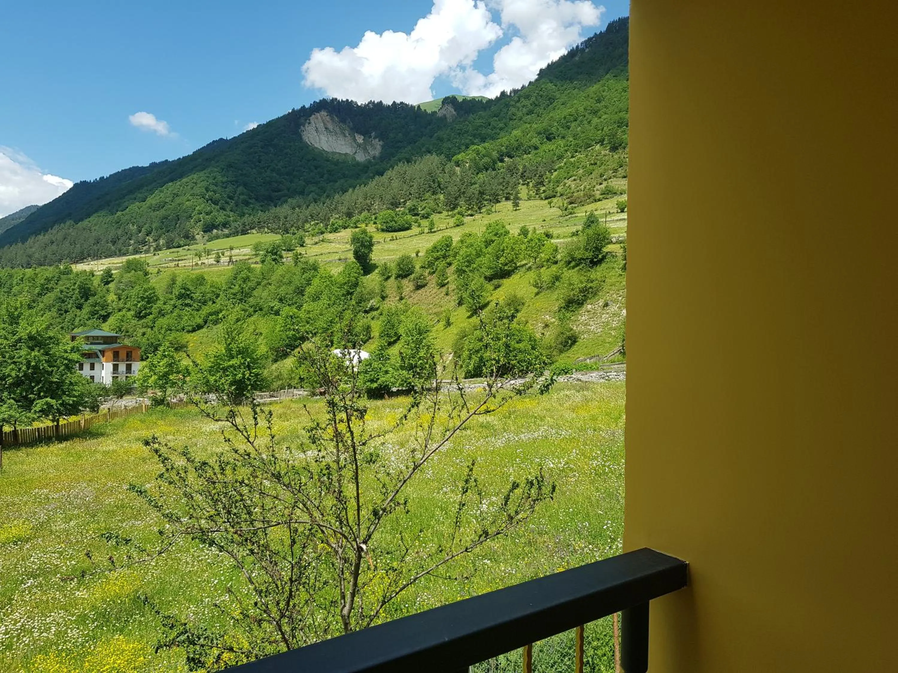 Garden view in Hilltop Mestia