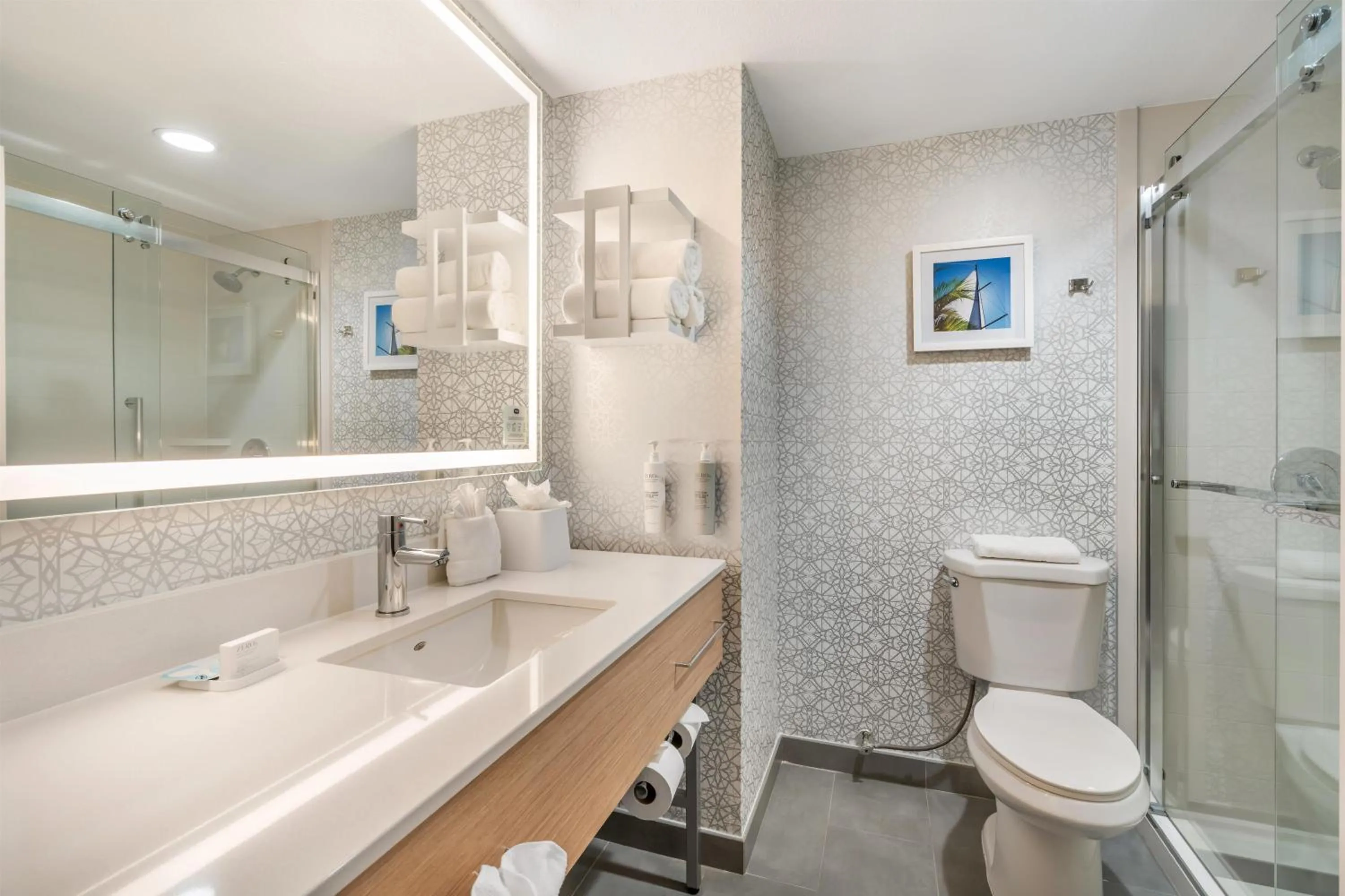 Bathroom in Hampton Inn Fort Myers-Airport & I-75