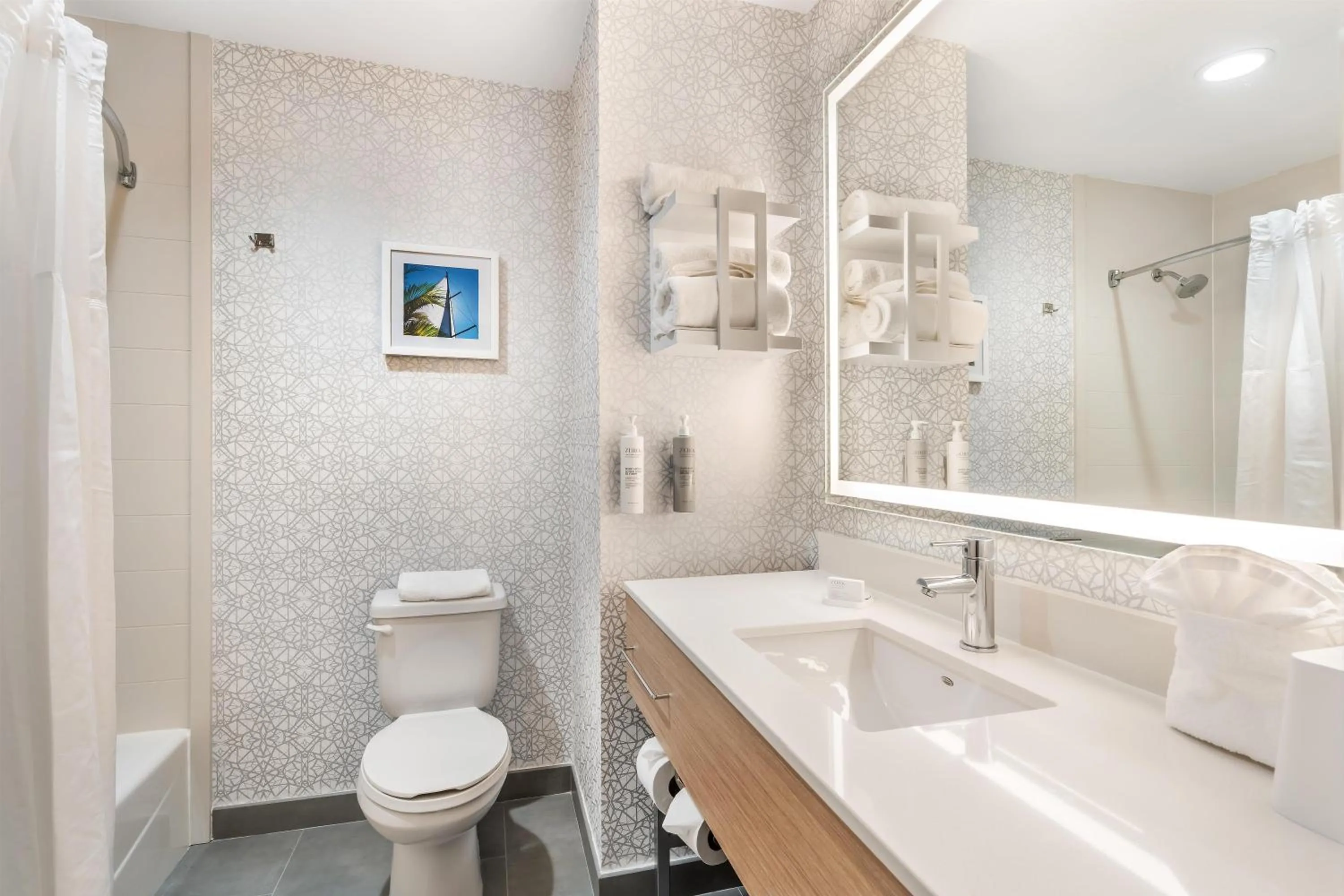 Bathroom in Hampton Inn Fort Myers-Airport & I-75