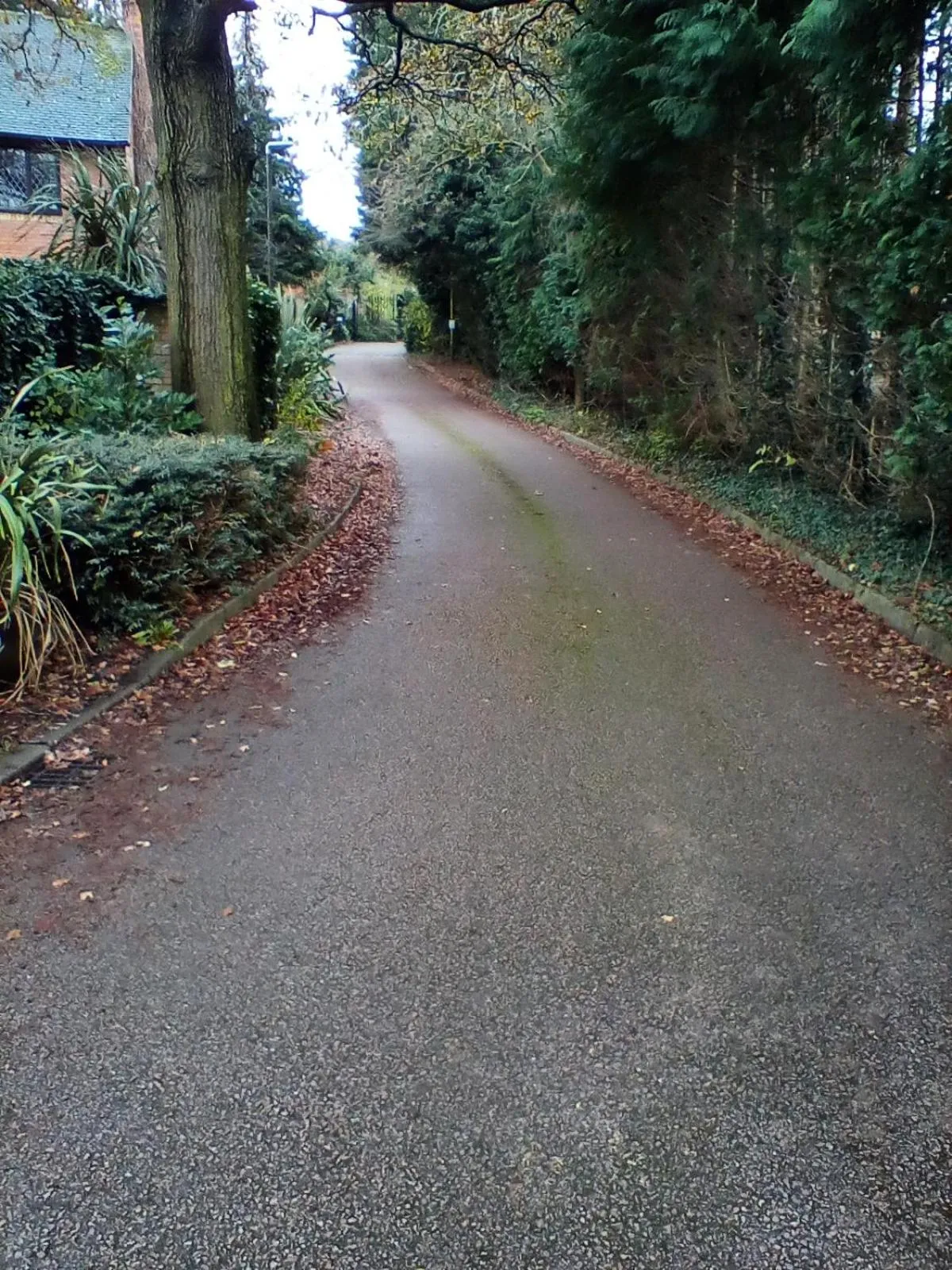Natural landscape in The Annex - Guest Gardens