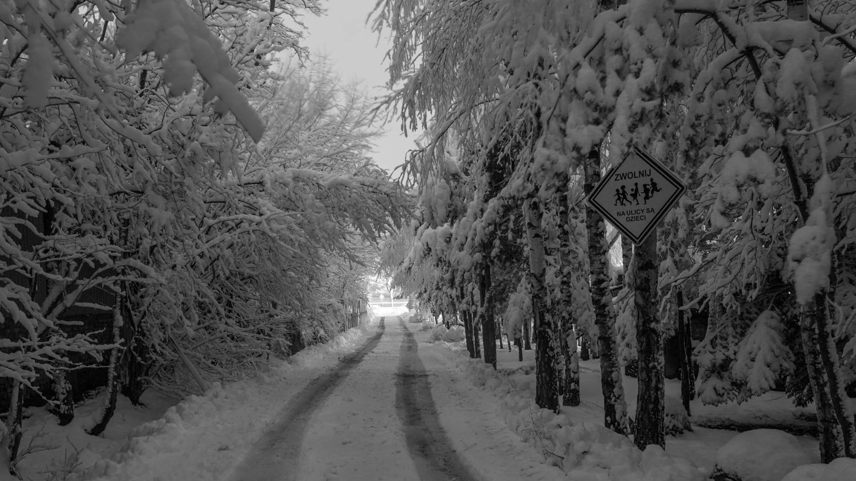 Garden in Jaś Wędrowniczek