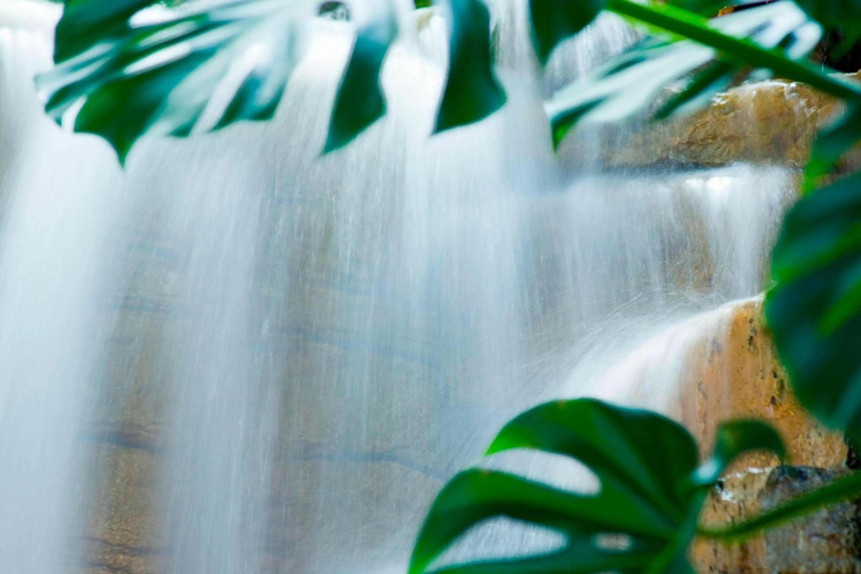 Other in The Westin Kansas City at Crown Center