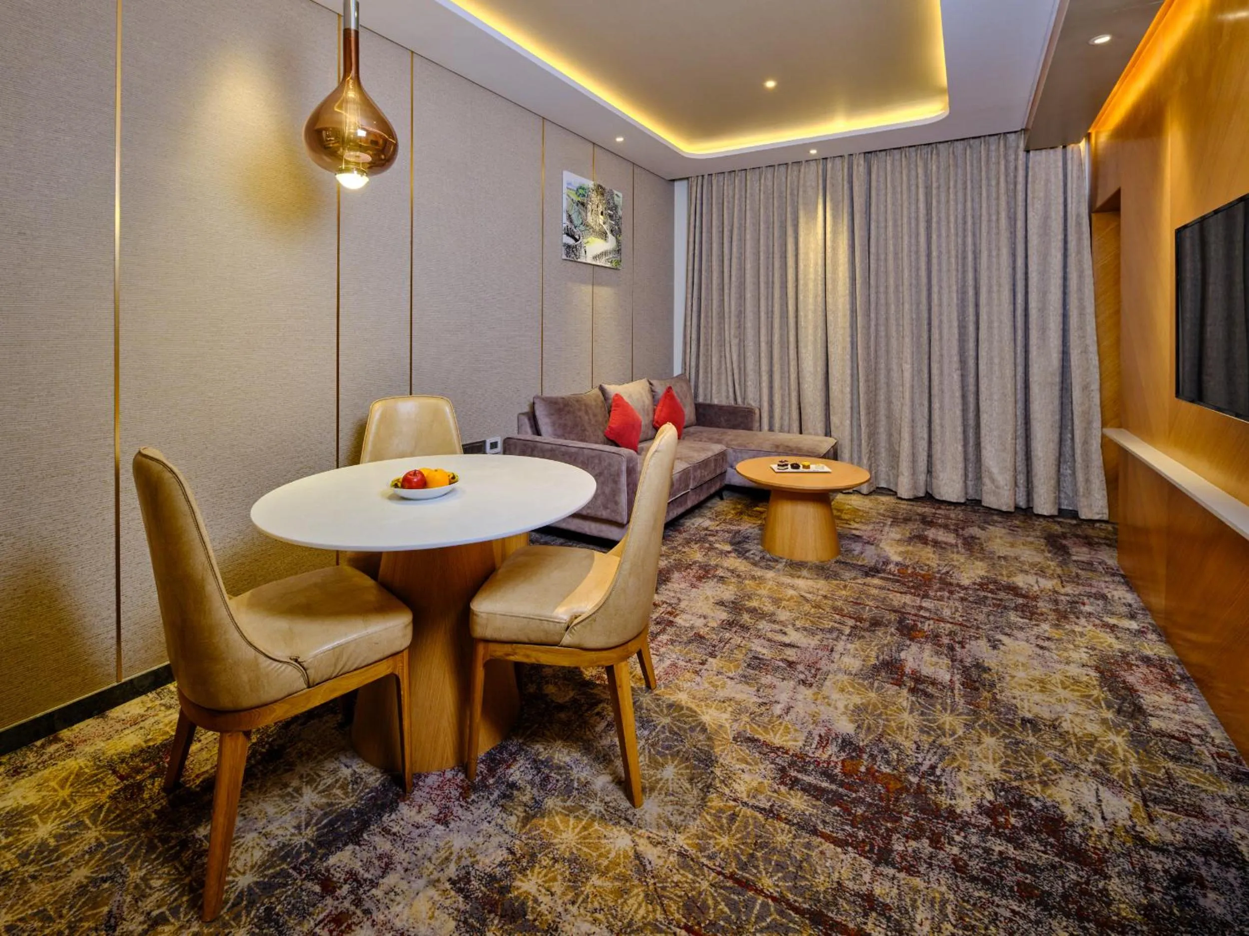 TV and multimedia in Sayaji Pune