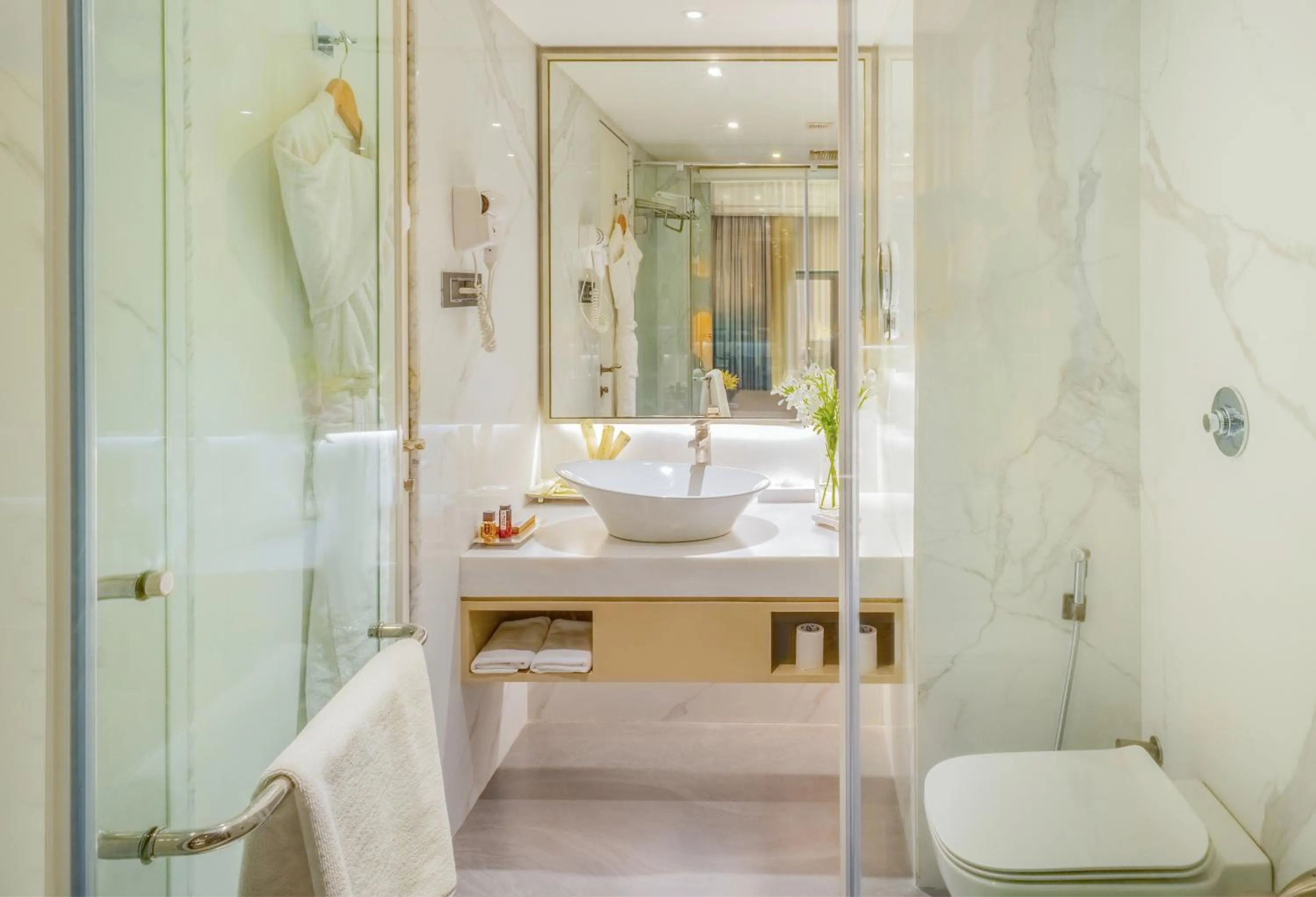 Bathroom in Sayaji Pune