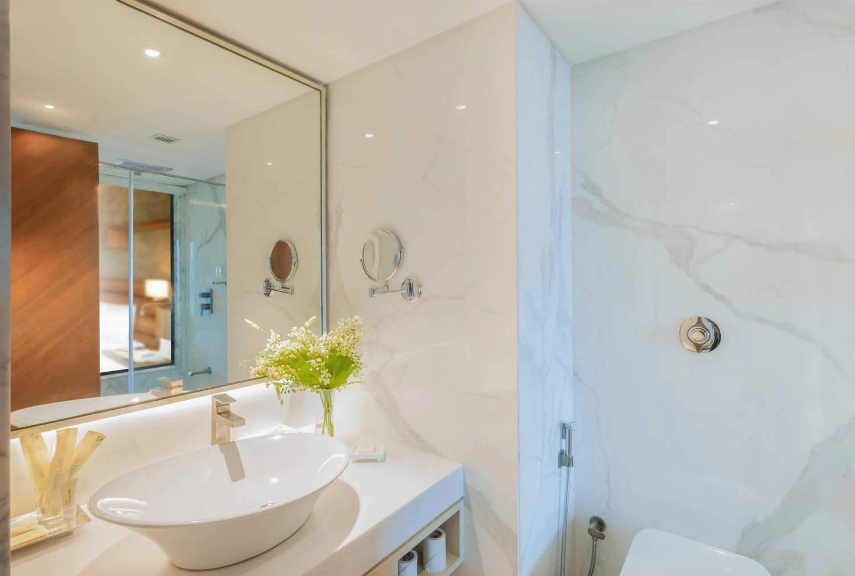 Bathroom in Sayaji Pune