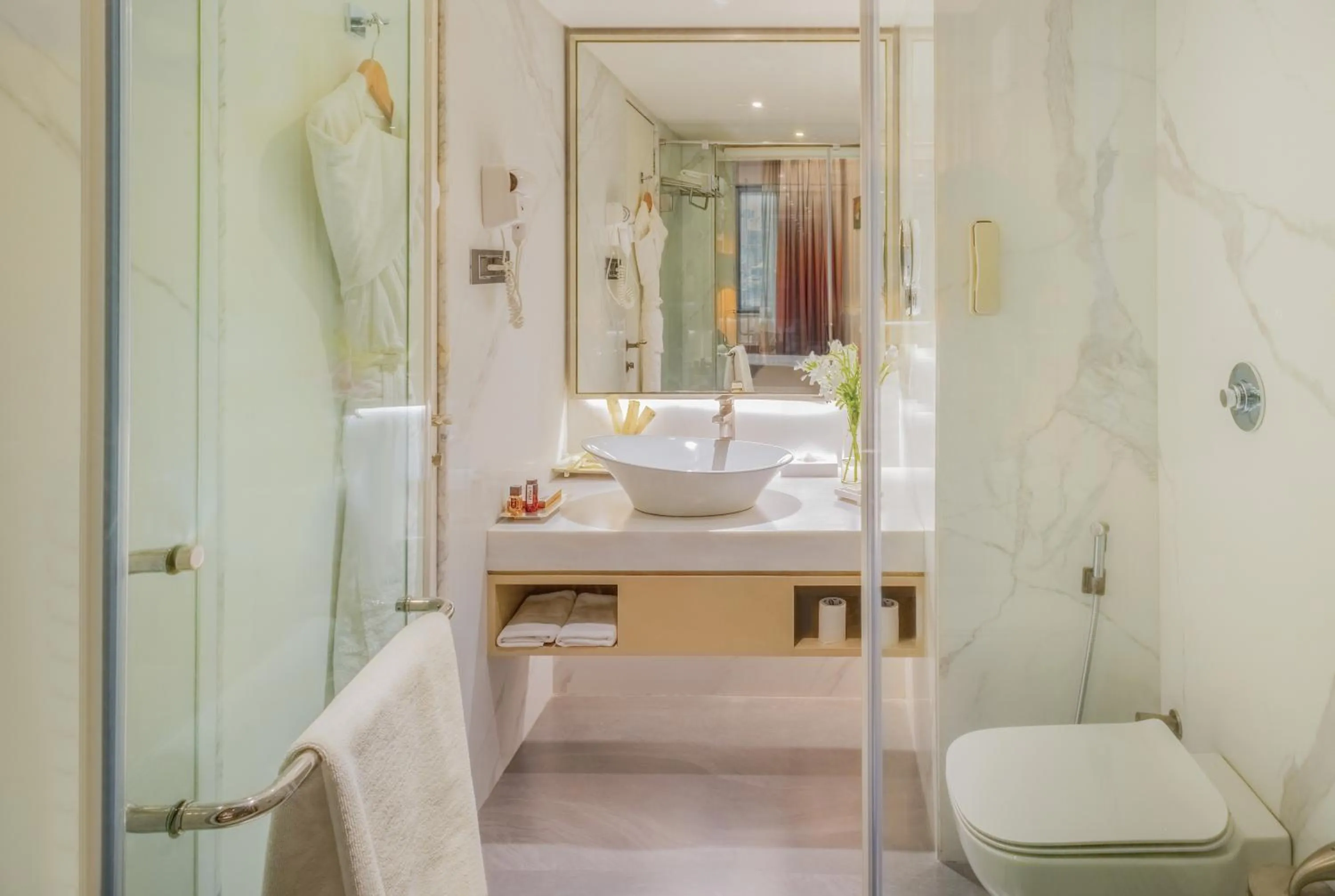 Bathroom in Sayaji Pune