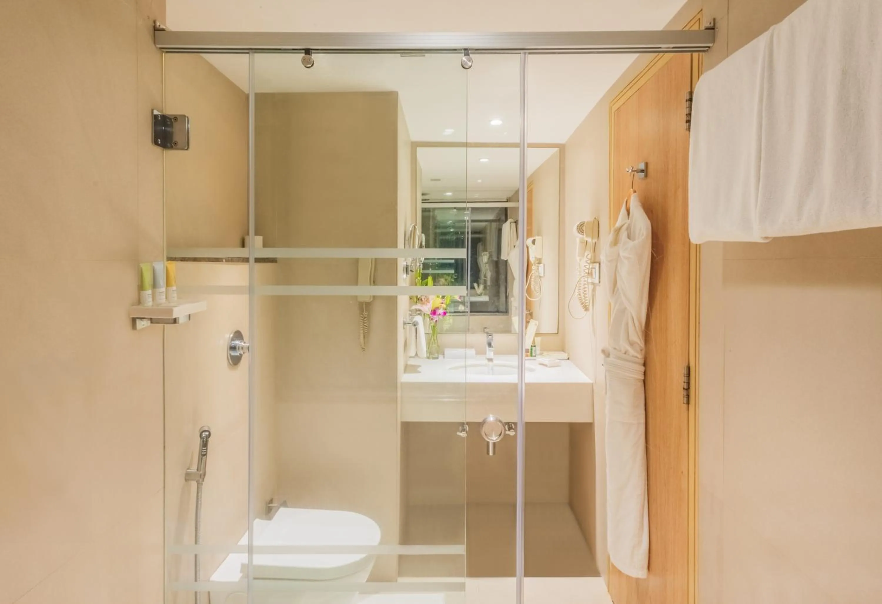 Toilet in Sayaji Pune