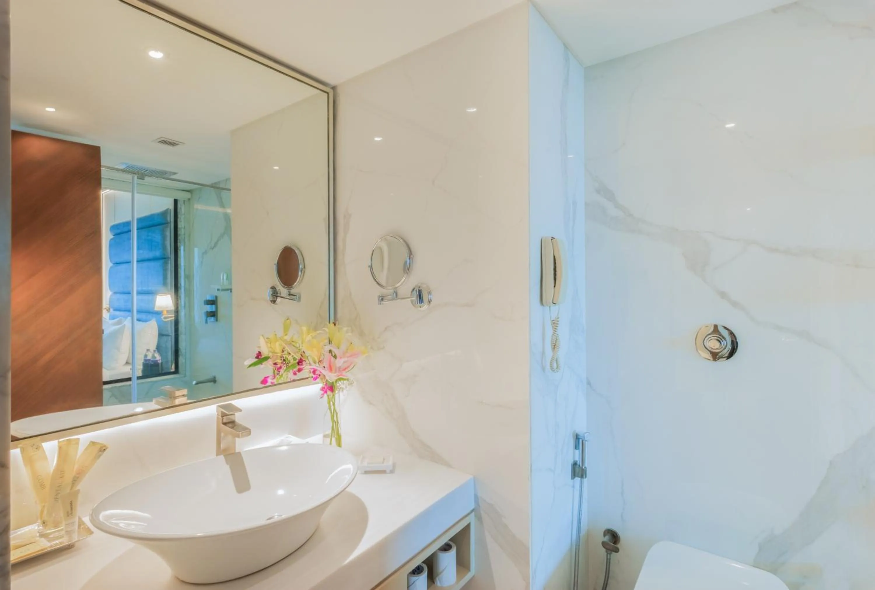 Bathroom in Sayaji Pune