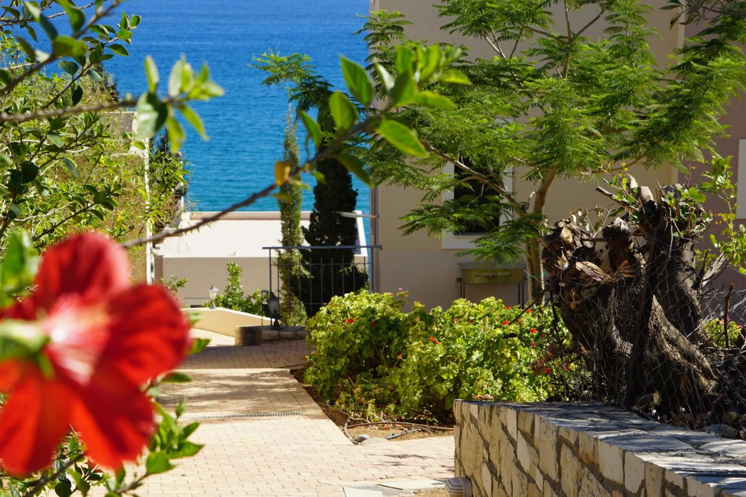 Garden in Portela Suites Kastri