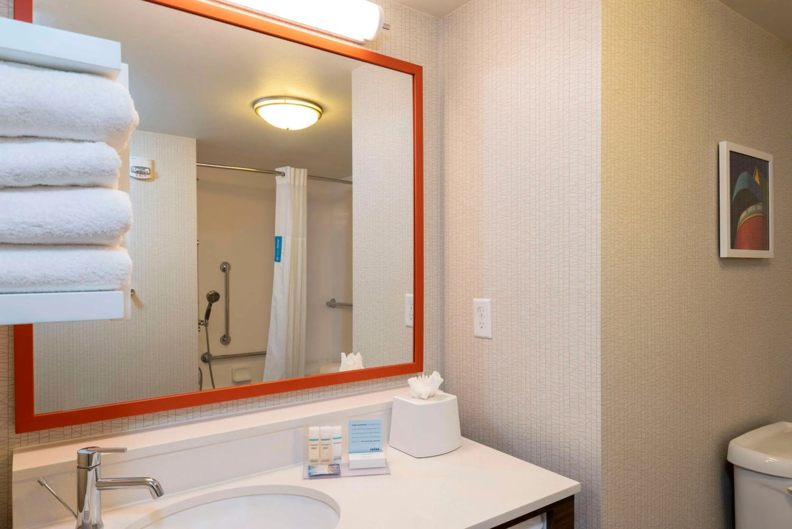 Bathroom in Hampton Inn & Suites Fort Myers-Colonial Boulevard