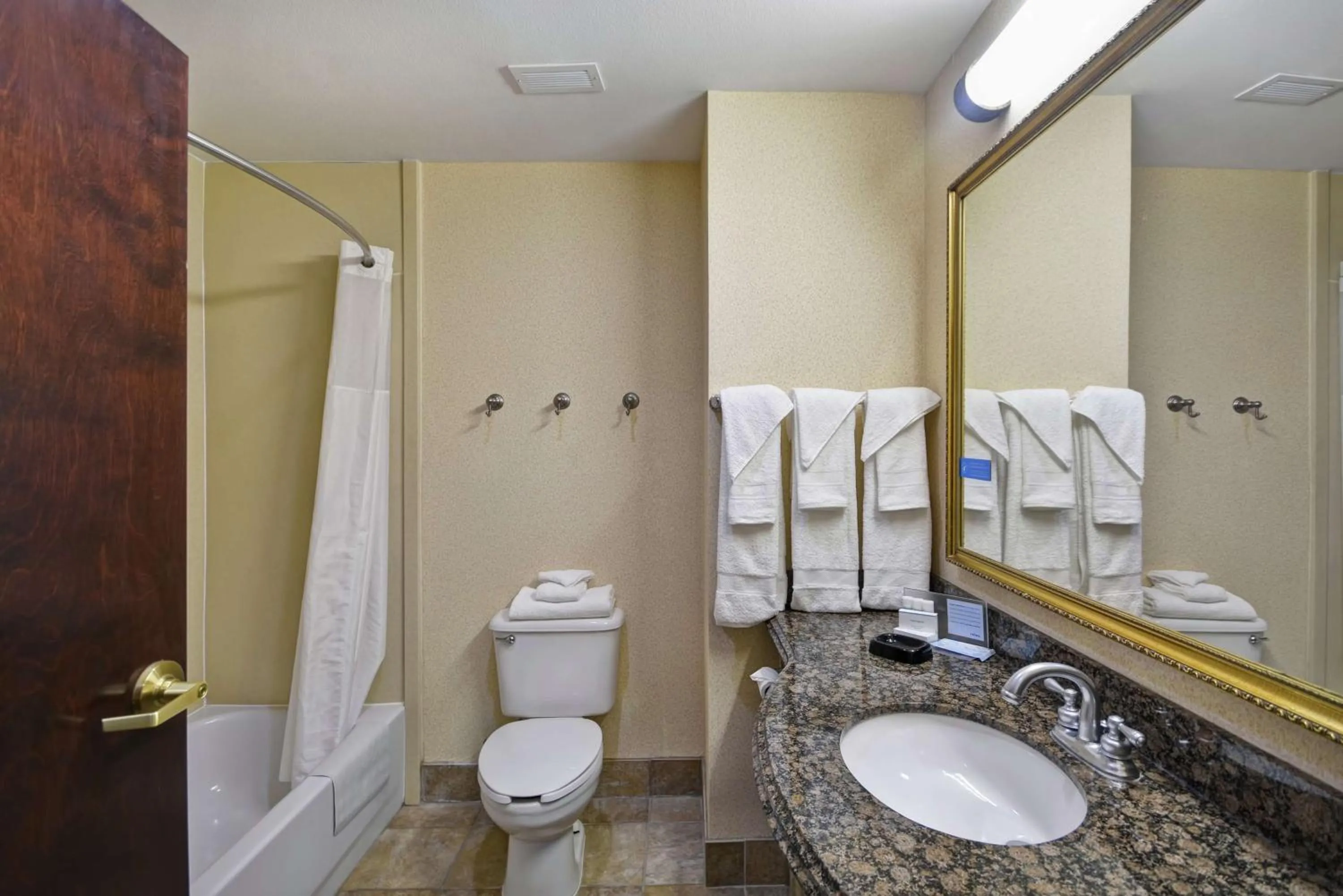 Bathroom in Hampton Inn Corpus Christi - Northwest I-37