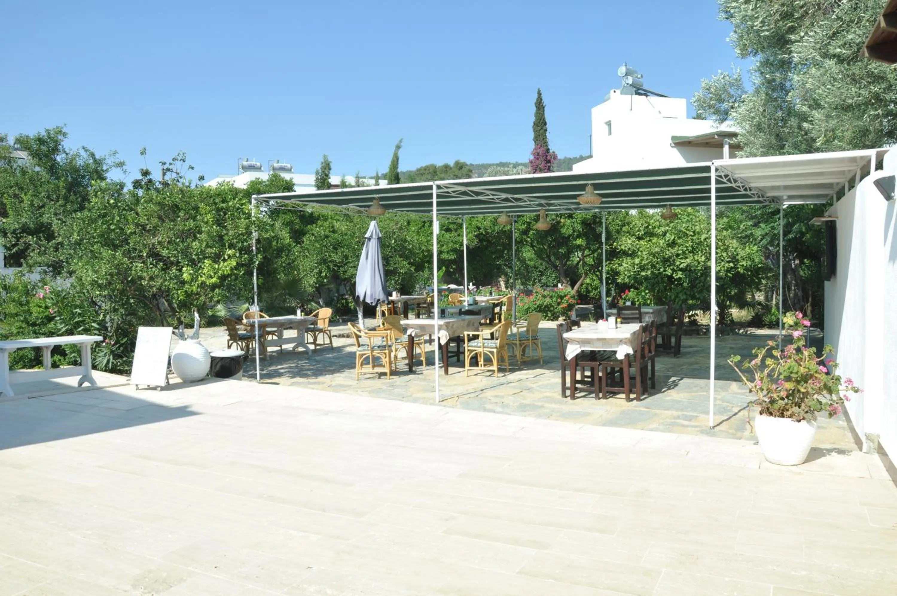 Restaurant/places to eat in Bodrum Blu Hotel