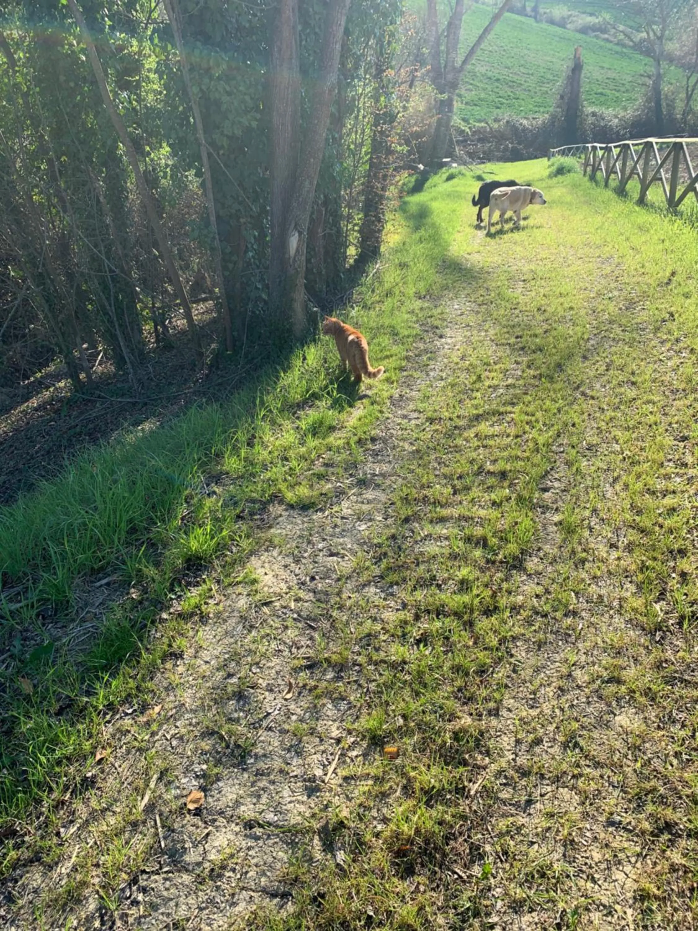Property building in Relais Il Margarito