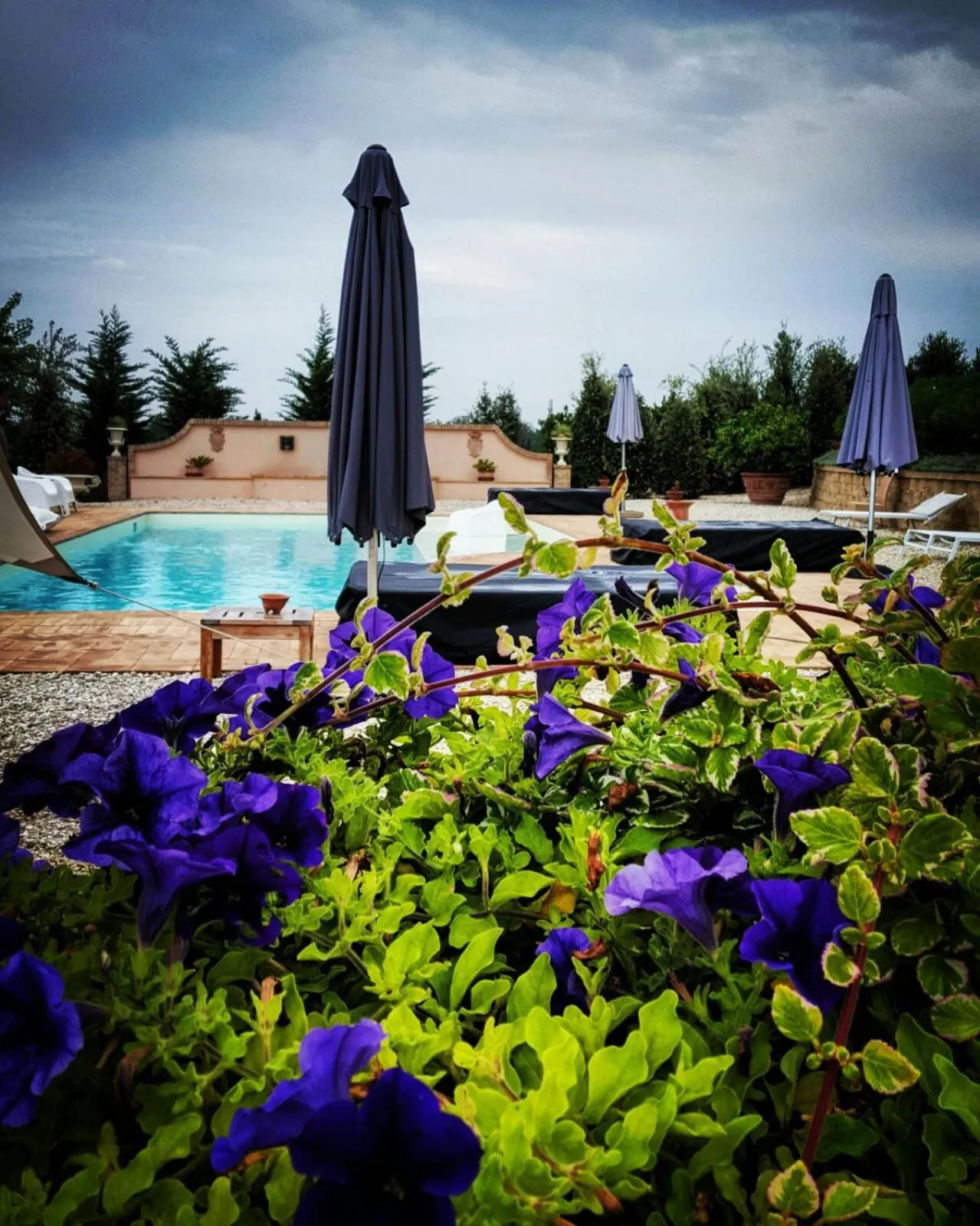 Swimming pool in Relais Il Margarito