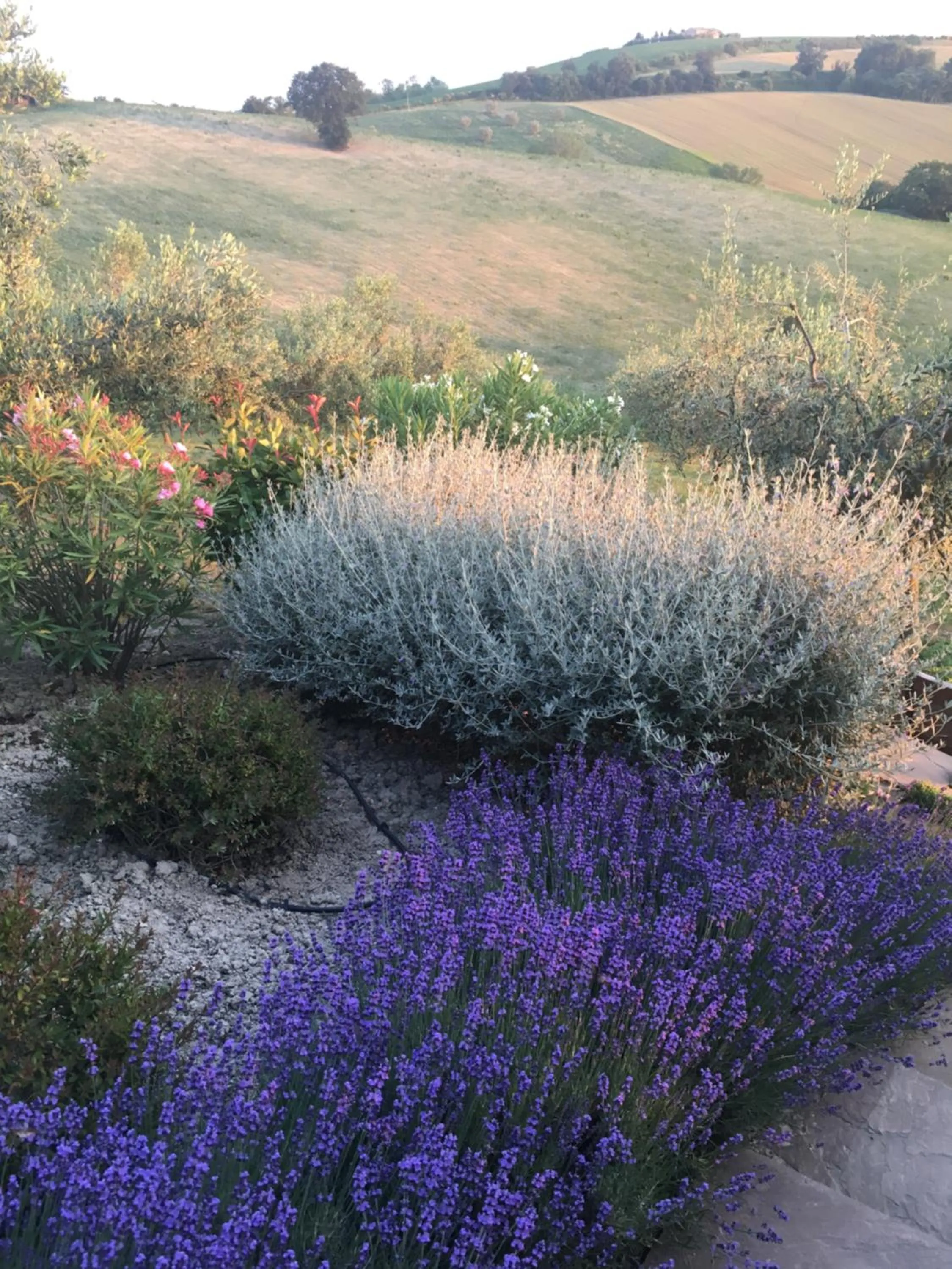 Garden view in Relais Il Margarito