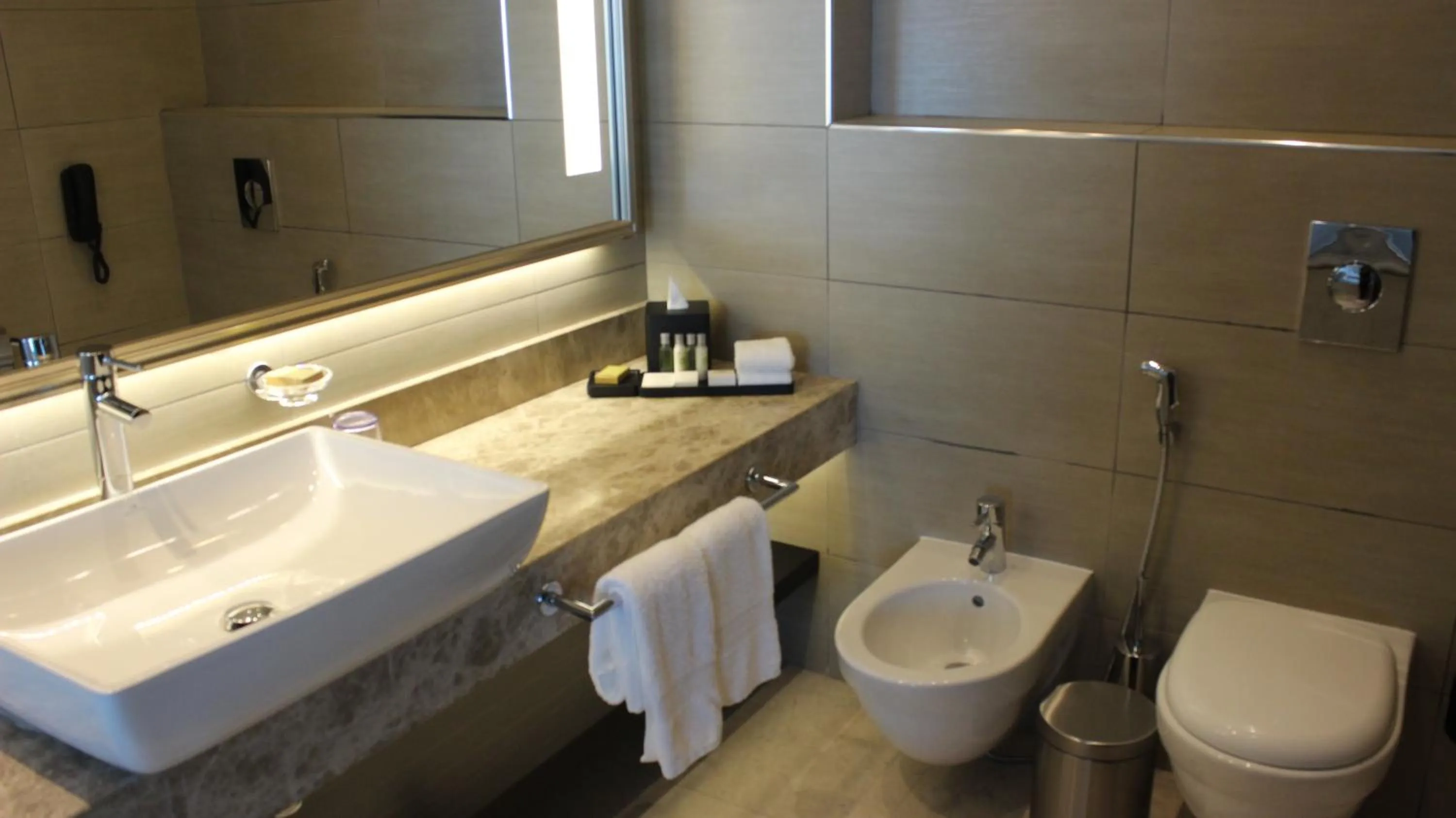 Bathroom in Hilton Amman