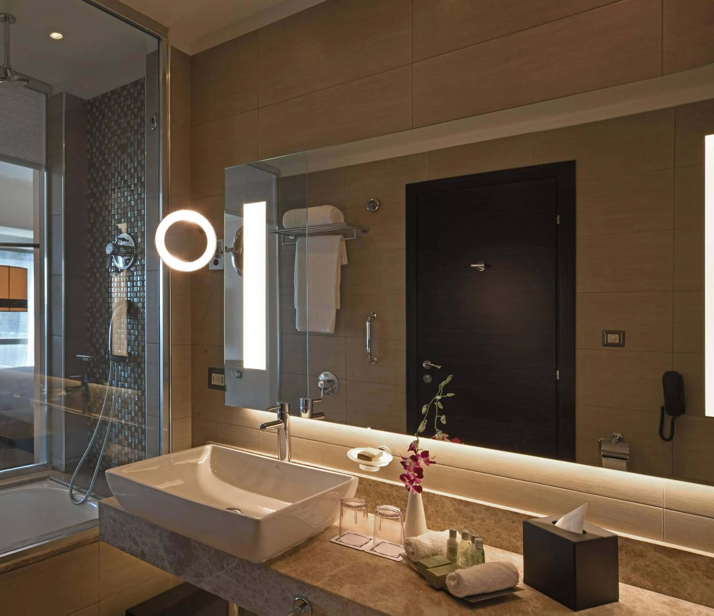 Toilet in Hilton Amman