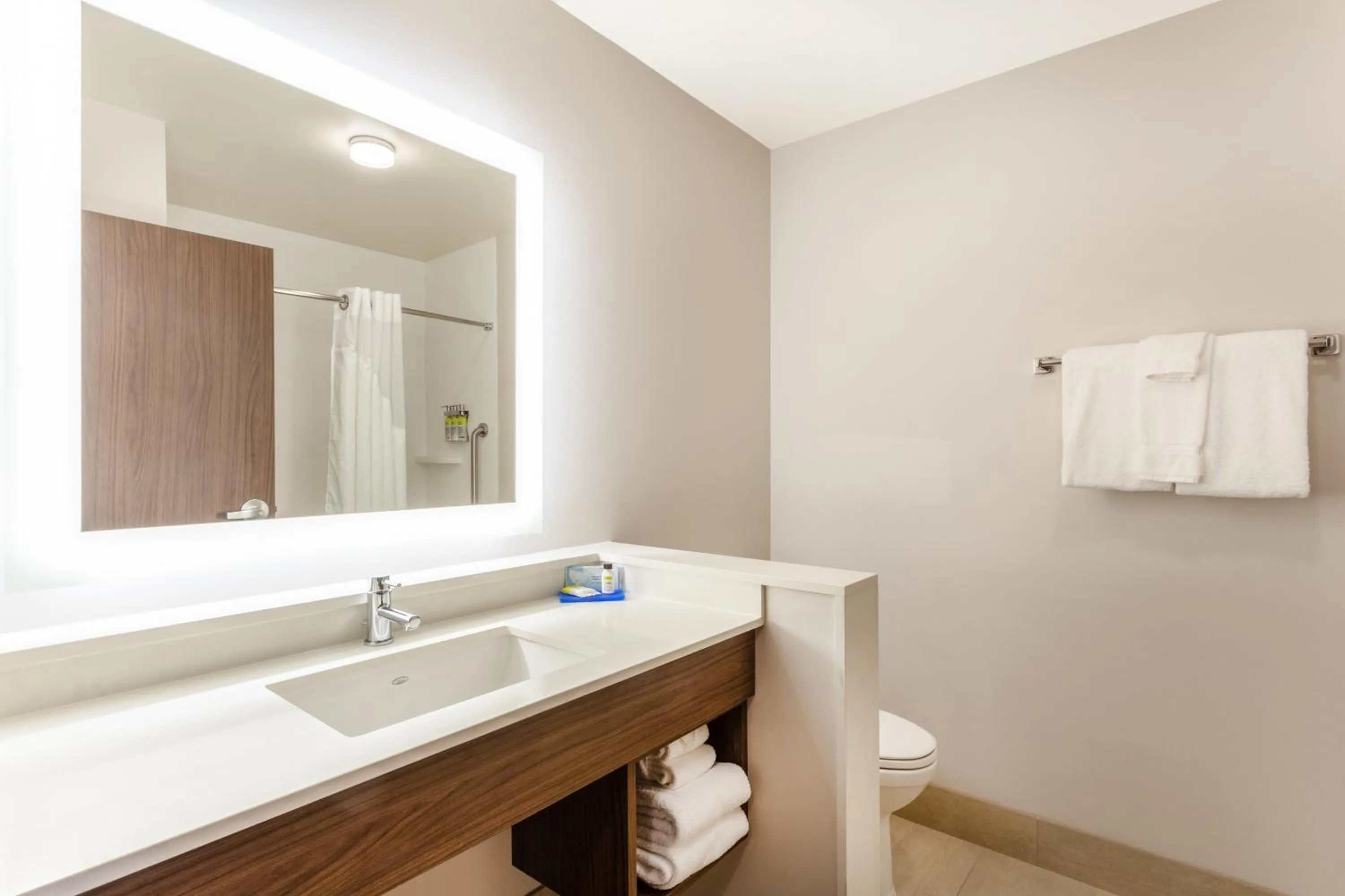 Bathroom in Holiday Inn Express & Suites - Springfield North by IHG