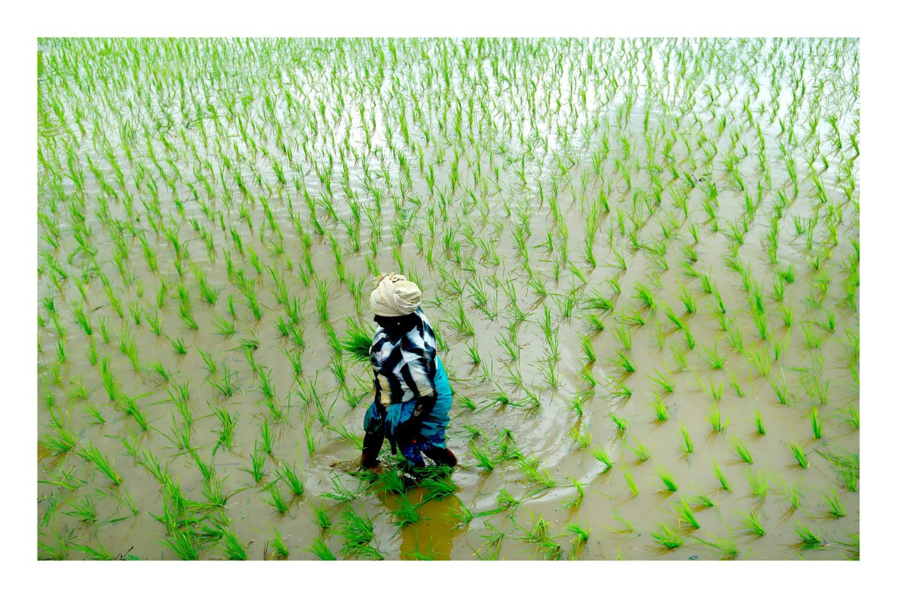 Balcony/Terrace in Vayal Veedu